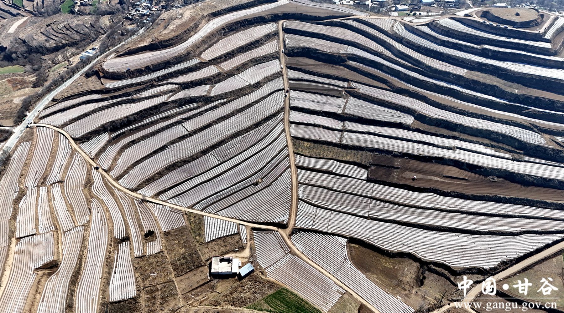 90d4c516a037dfd0e94abf88ff816a10 90d4c516a037dfd0e94abf88ff816a10