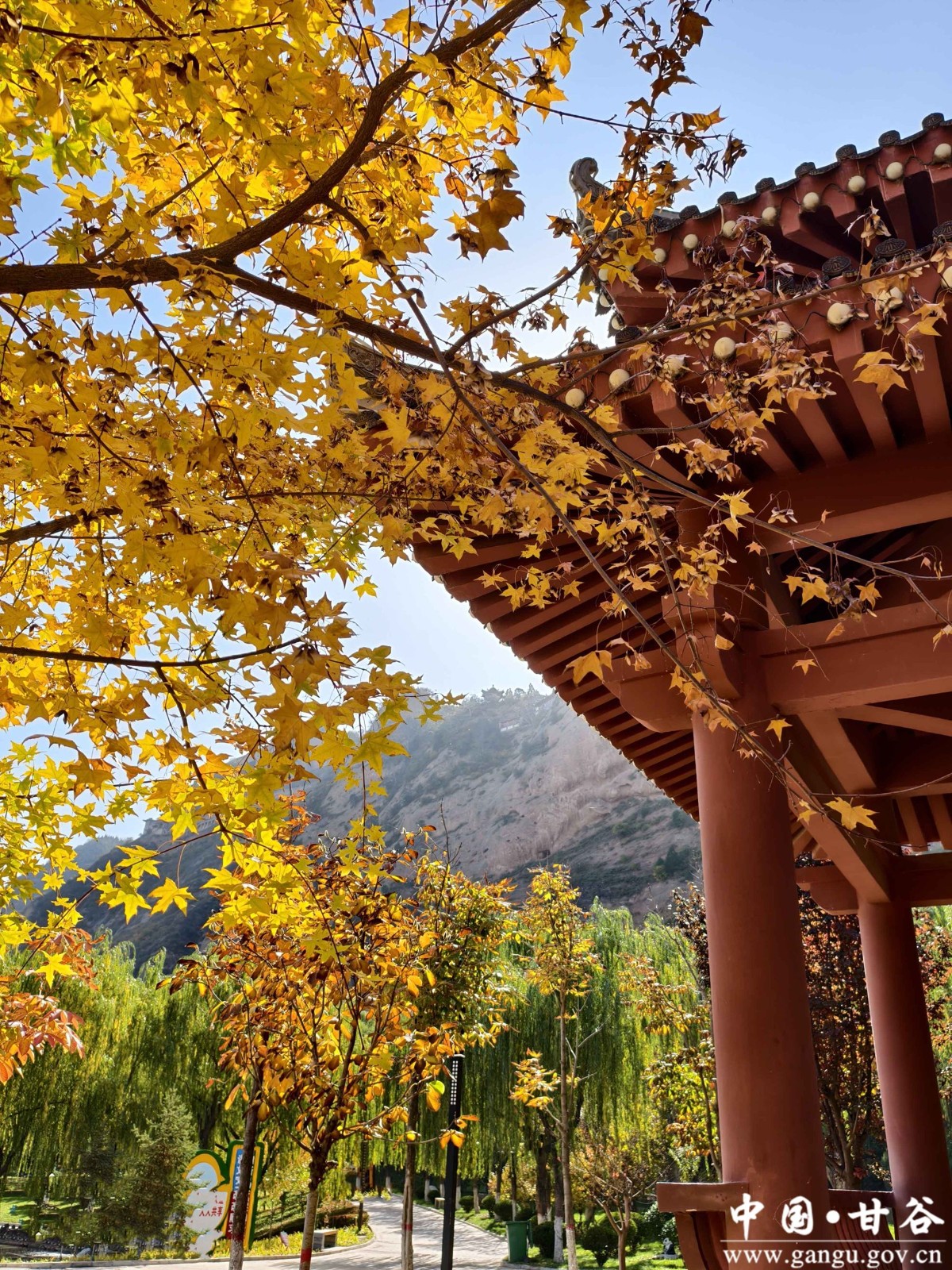 蒋爱萍 (2) 蒋爱萍 (2)