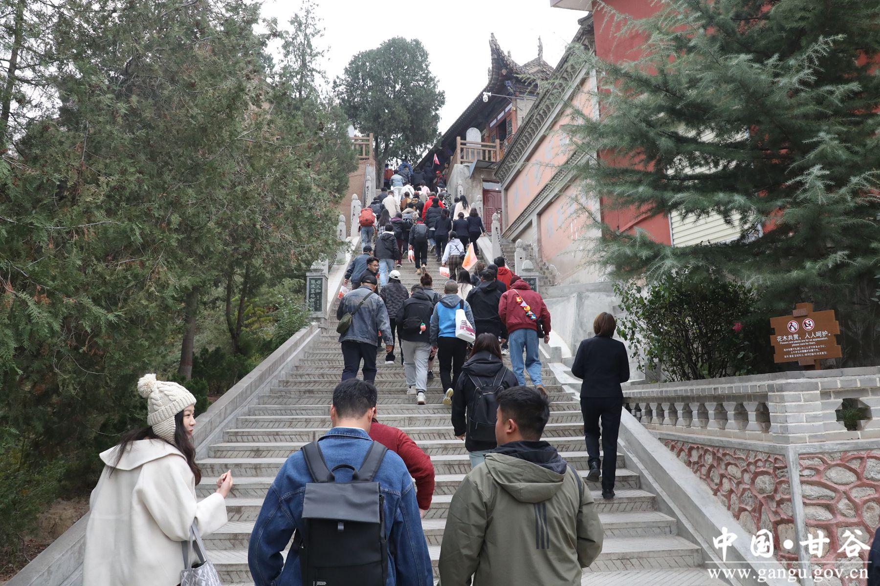 926A6841_副本 926A6841_副本