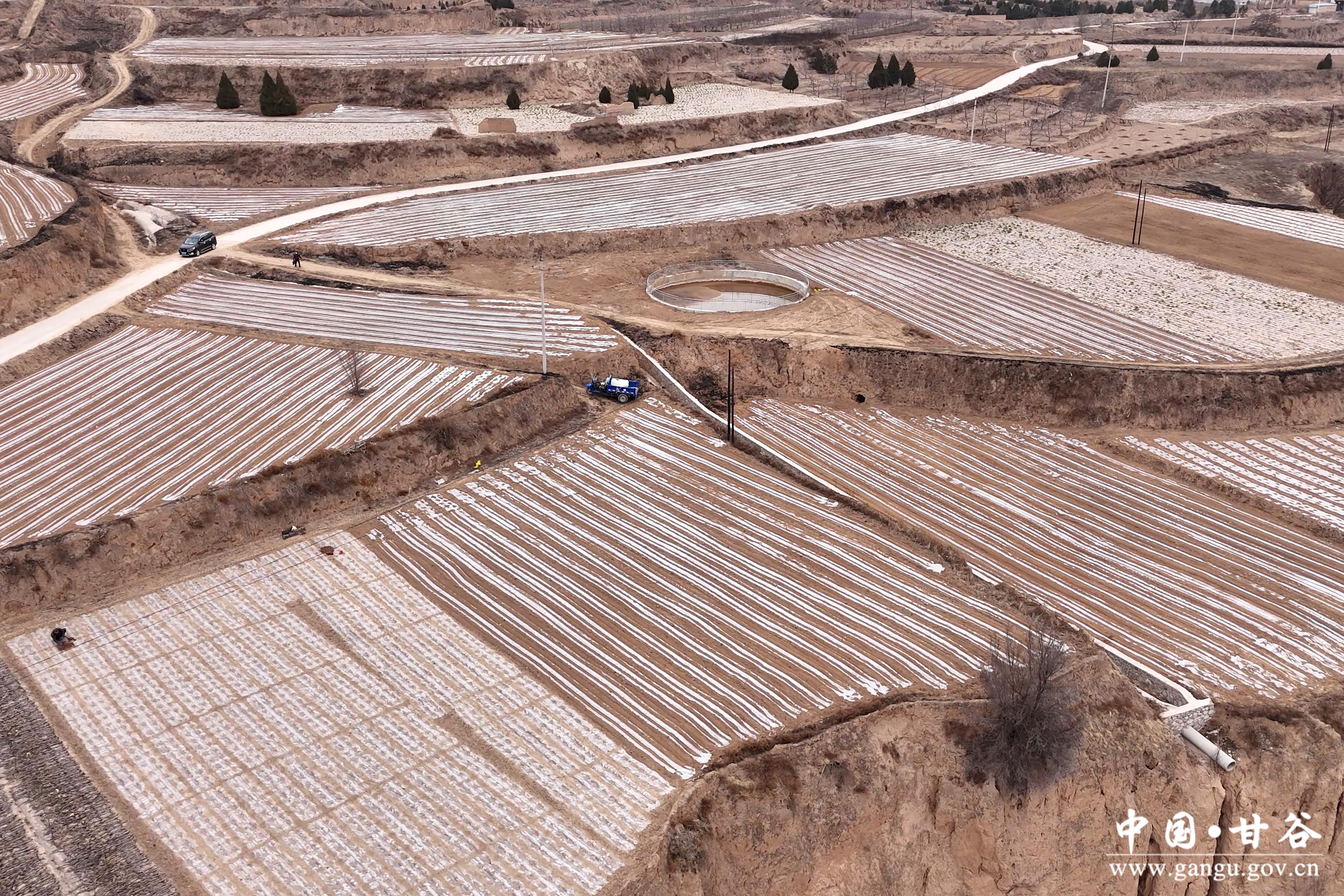 1741318662179076403.jpg 1741318662179076403.jpg