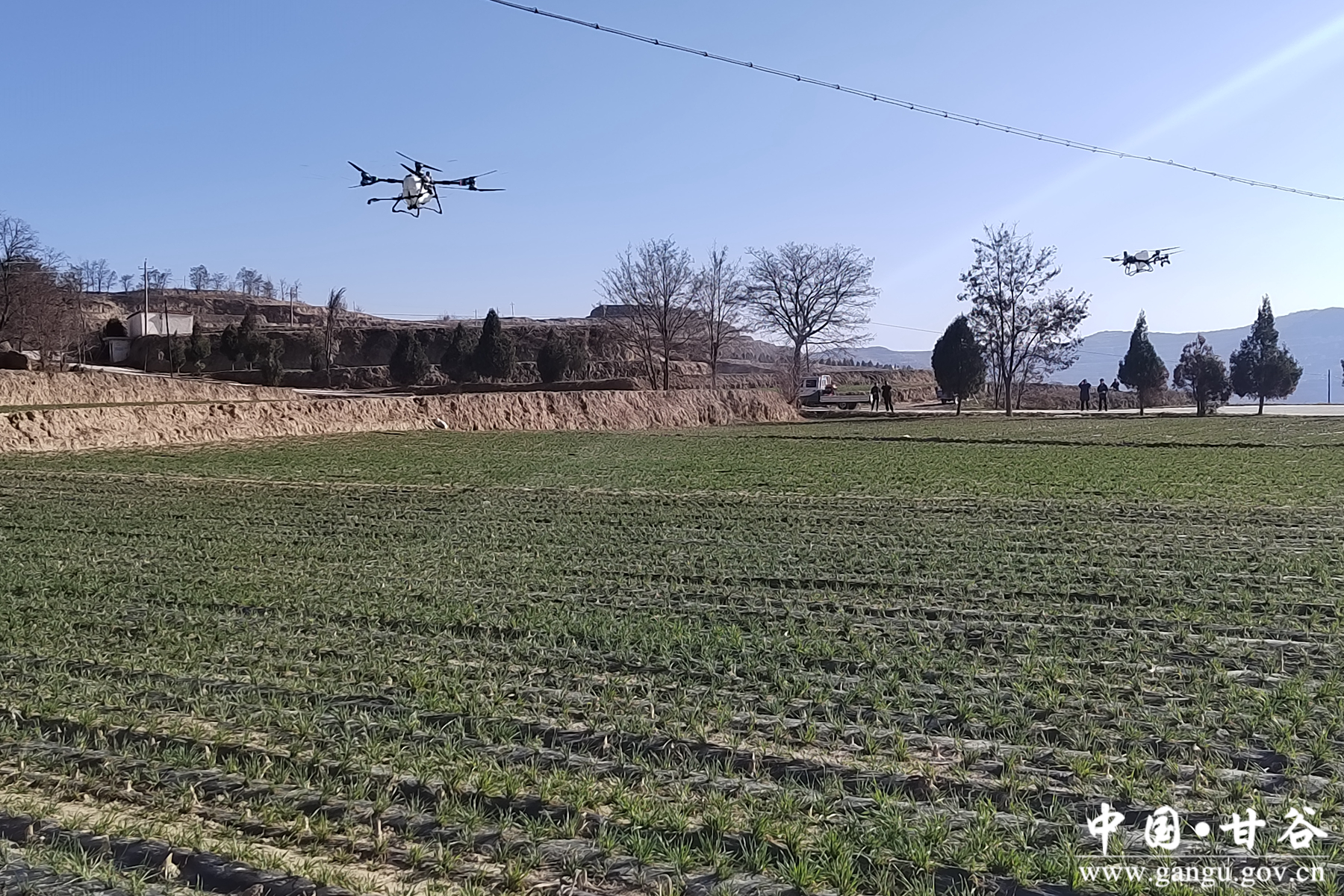 微信图片_20260311102344_21_148 微信图片_20260311102344_21_148