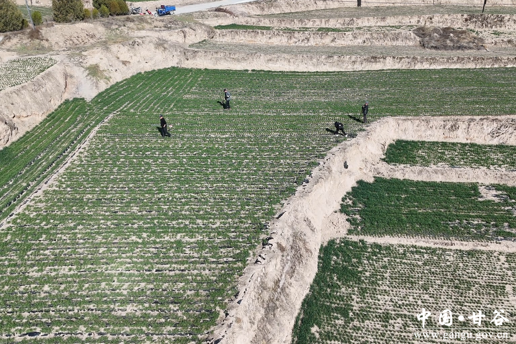 微信图片_20260311102239_15_148 微信图片_20260311102239_15_148