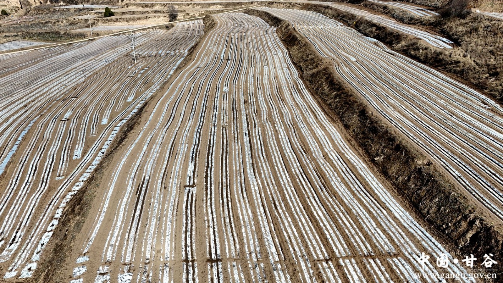 4377b4d30c632552d806867e2d4fc568 4377b4d30c632552d806867e2d4fc568