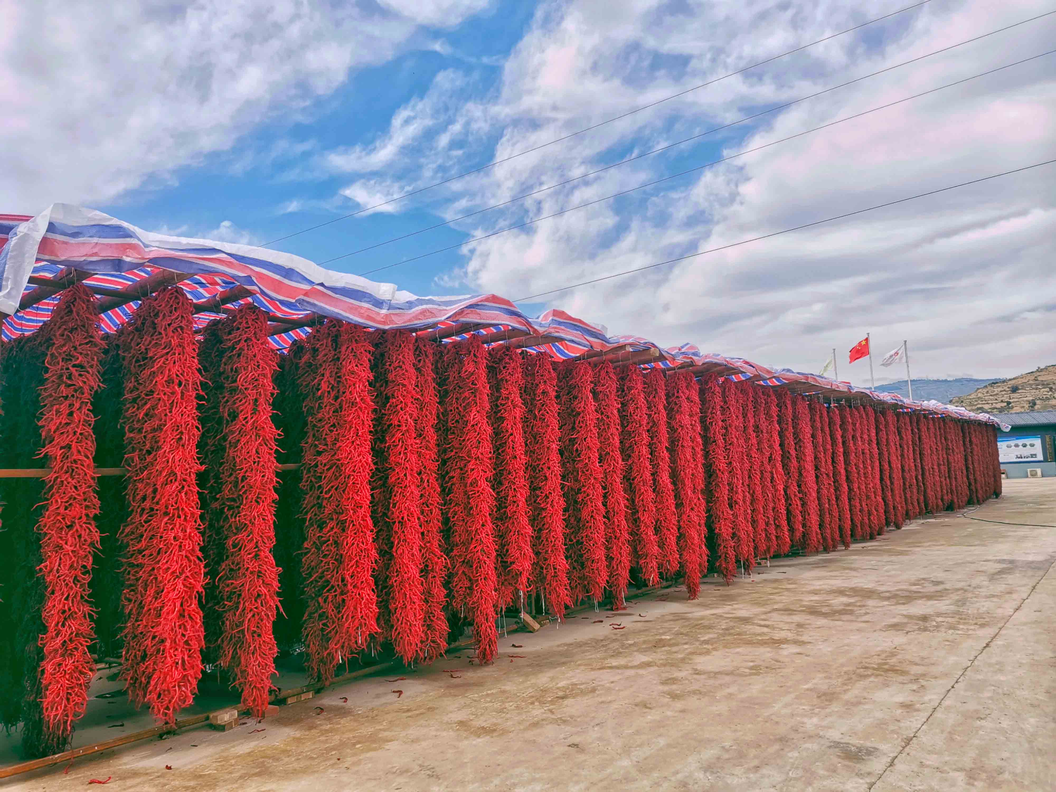 刘全义摄 (11) 刘全义摄 (11)