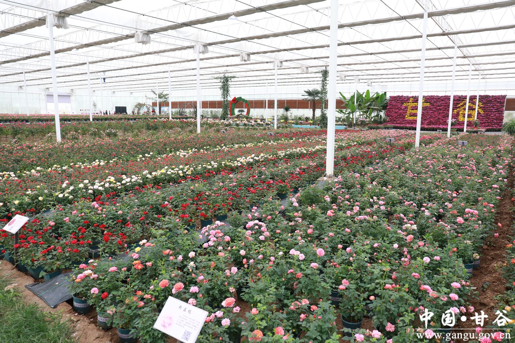 微信图片_20241210150525_副本 微信图片_20241210150525_副本