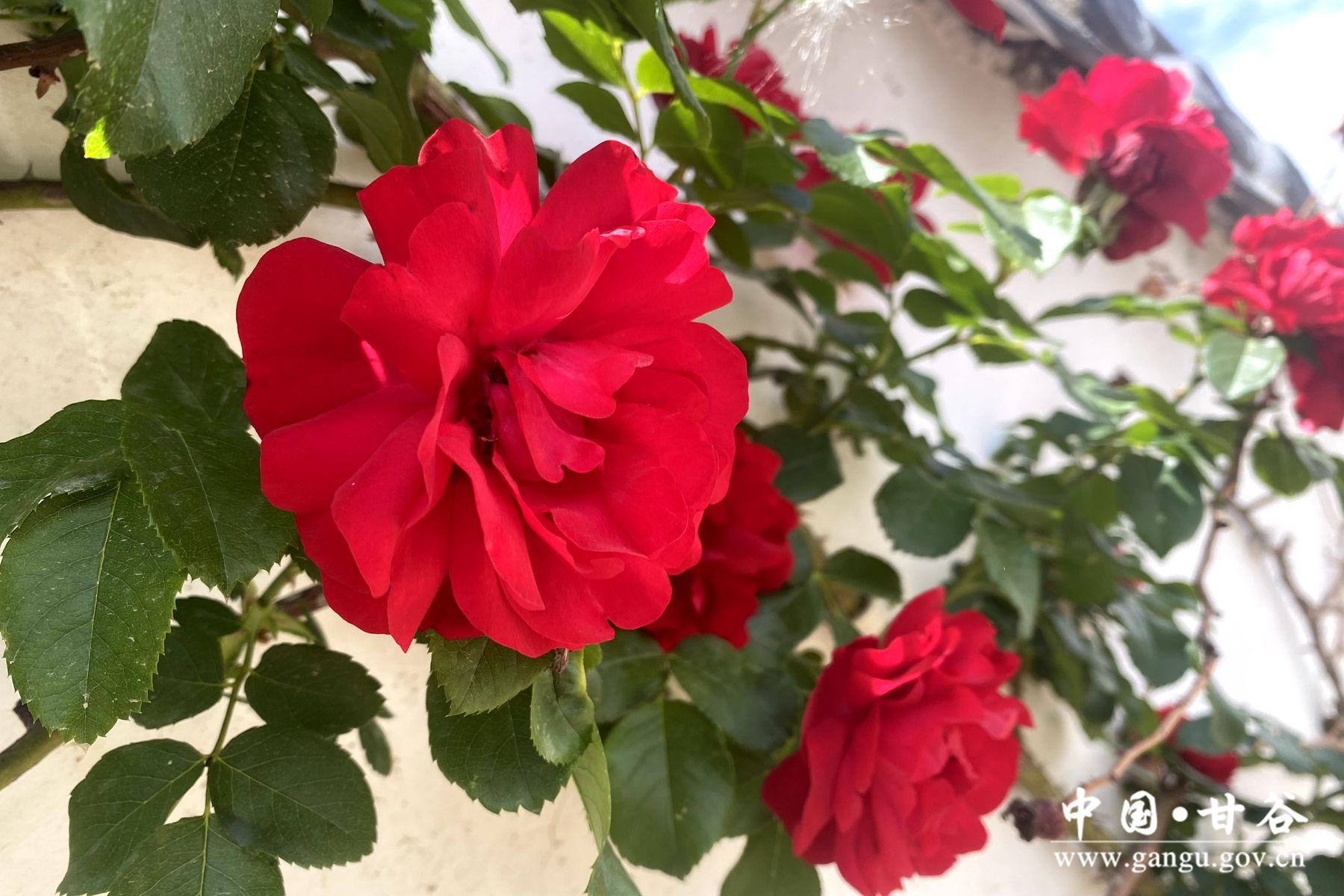 3d950ef75d1f5ae6689be760ef5dfdf 3d950ef75d1f5ae6689be760ef5dfdf