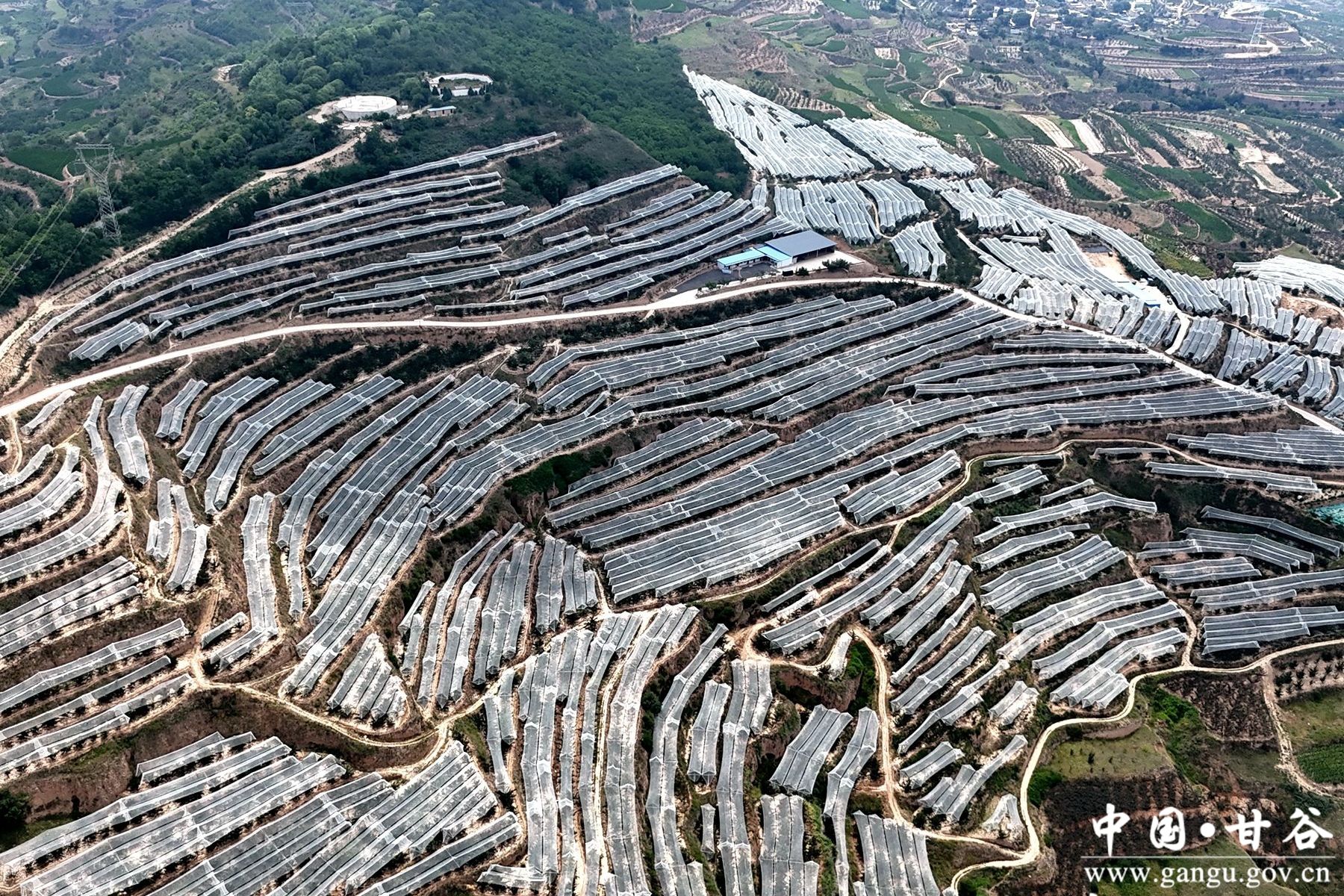 微信图片_20240719091318_副本 微信图片_20240719091318_副本