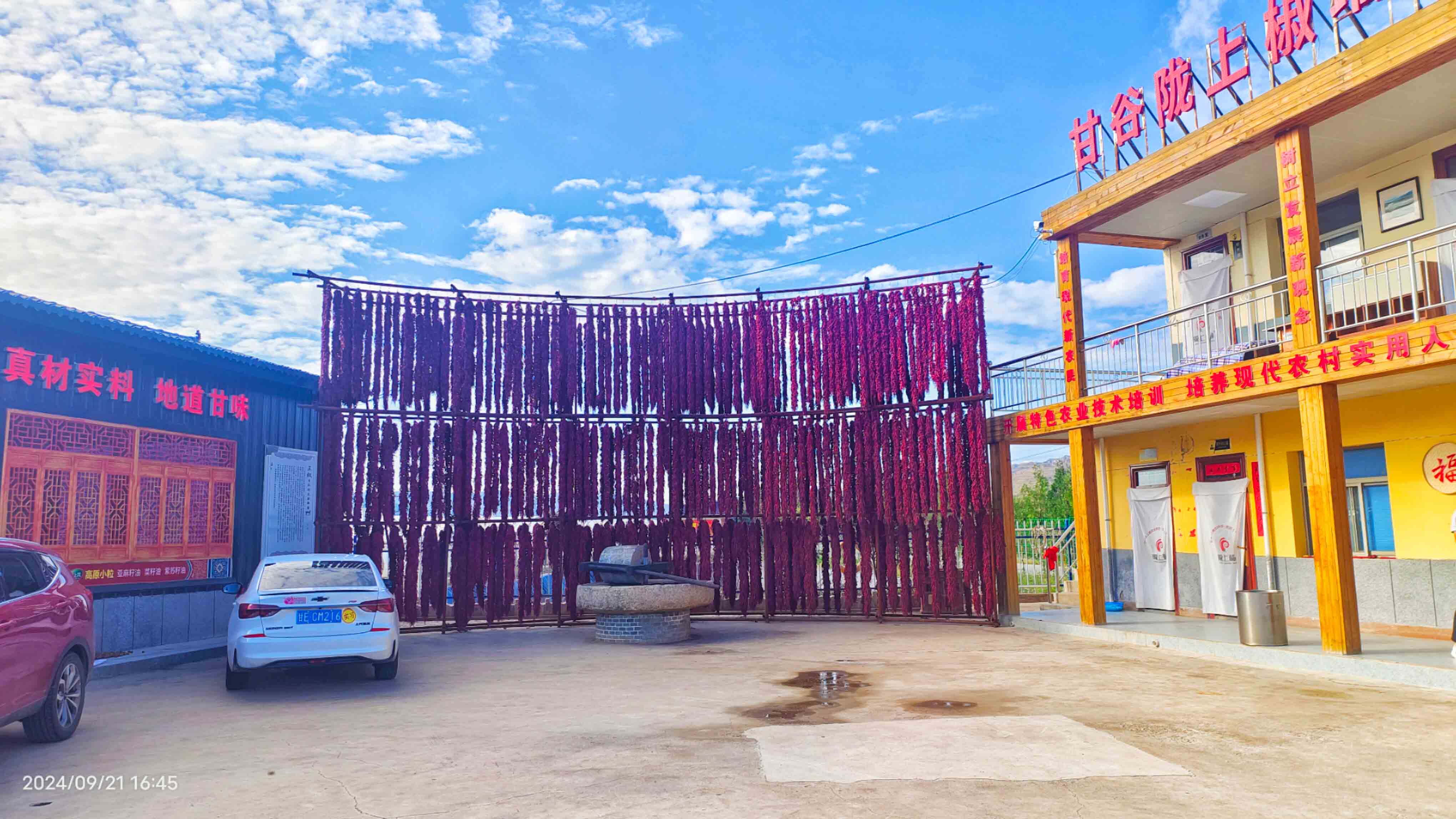 刘全义摄 (15) 刘全义摄 (15)