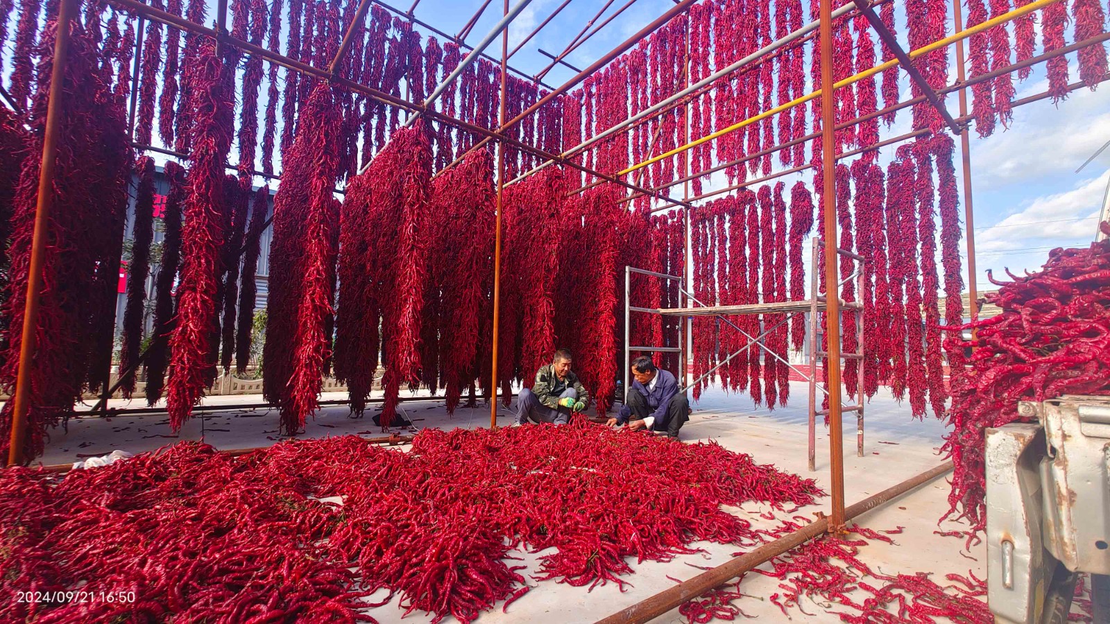 刘全义摄 (18) 刘全义摄 (18)