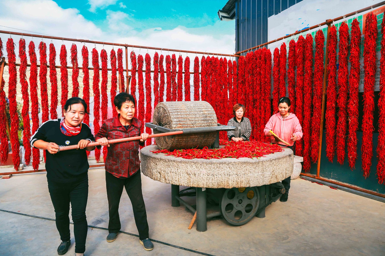 刘全义摄 (7) 刘全义摄 (7)