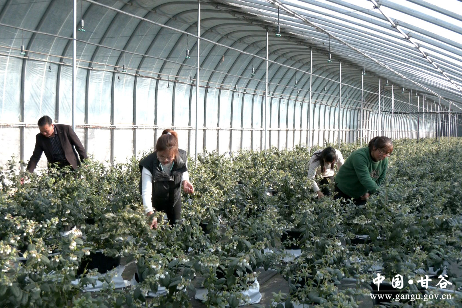 1737365909181060293.jpg 1737365909181060293.jpg