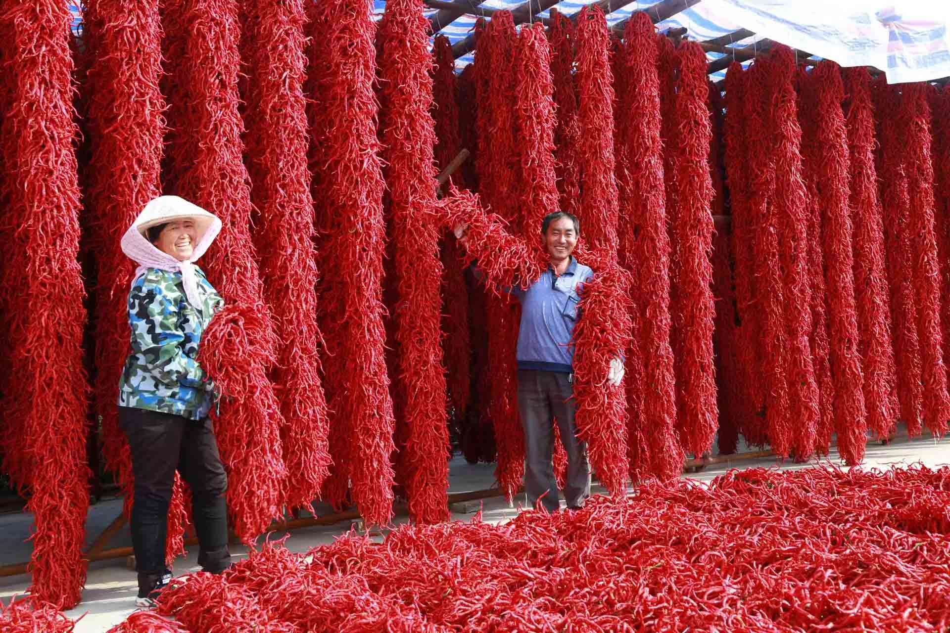 刘全义摄 (3) 刘全义摄 (3)