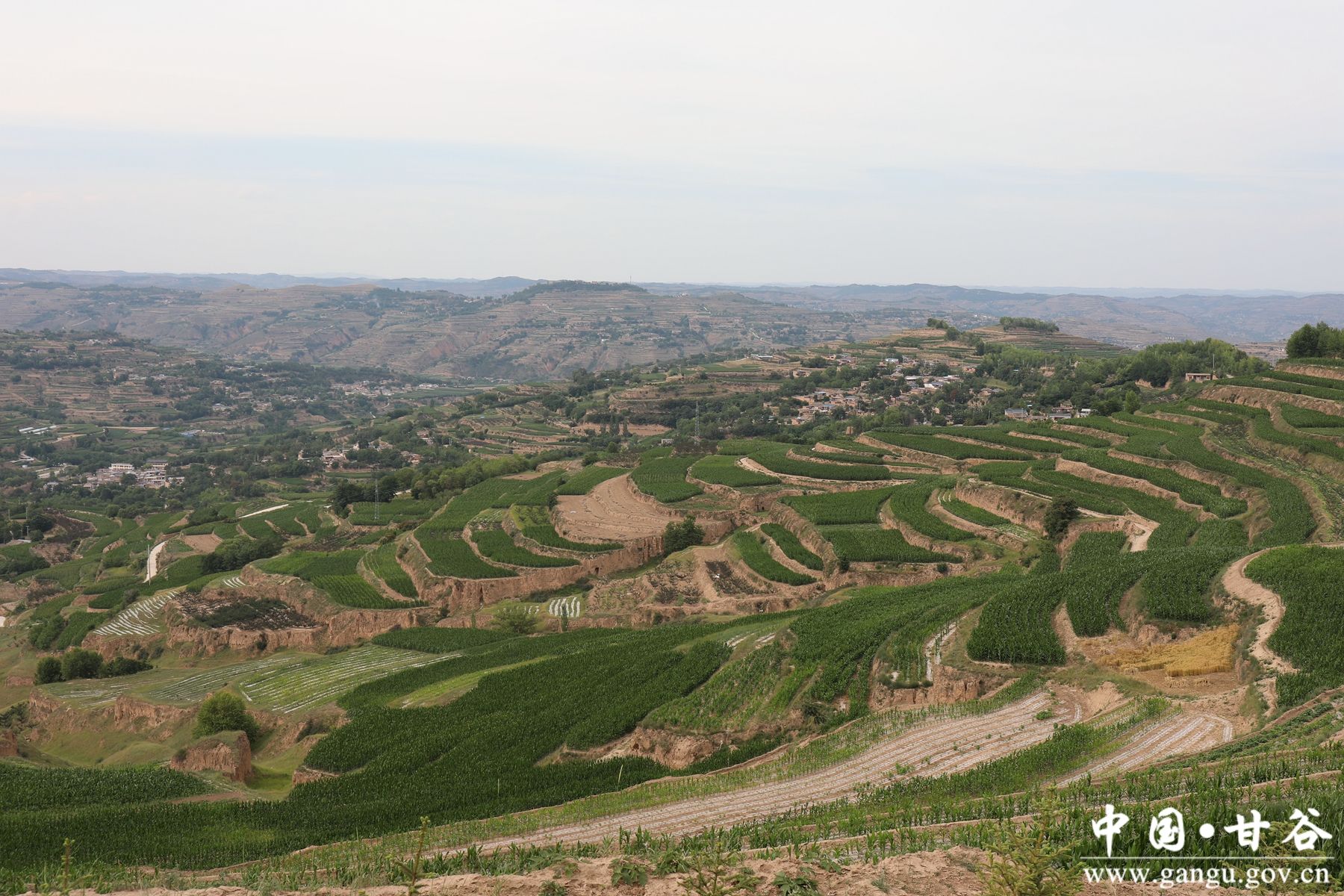 微信图片_20240703083905 微信图片_20240703083905