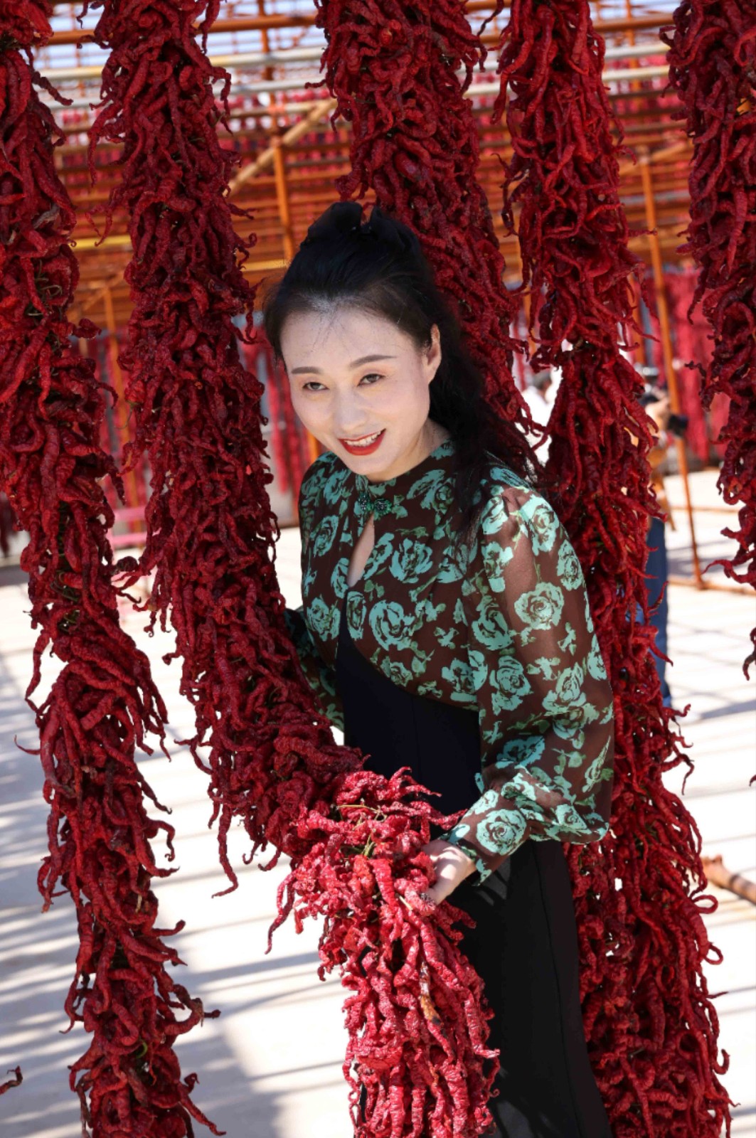 刘全义摄 (14) 刘全义摄 (14)