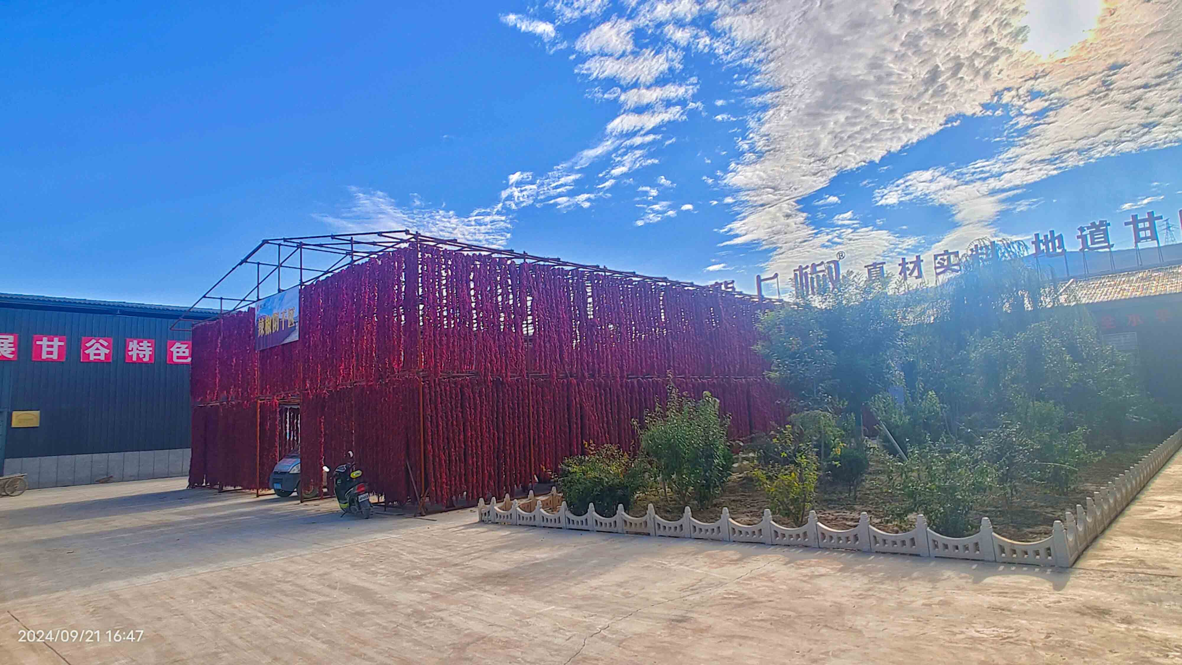 刘全义摄 (16) 刘全义摄 (16)