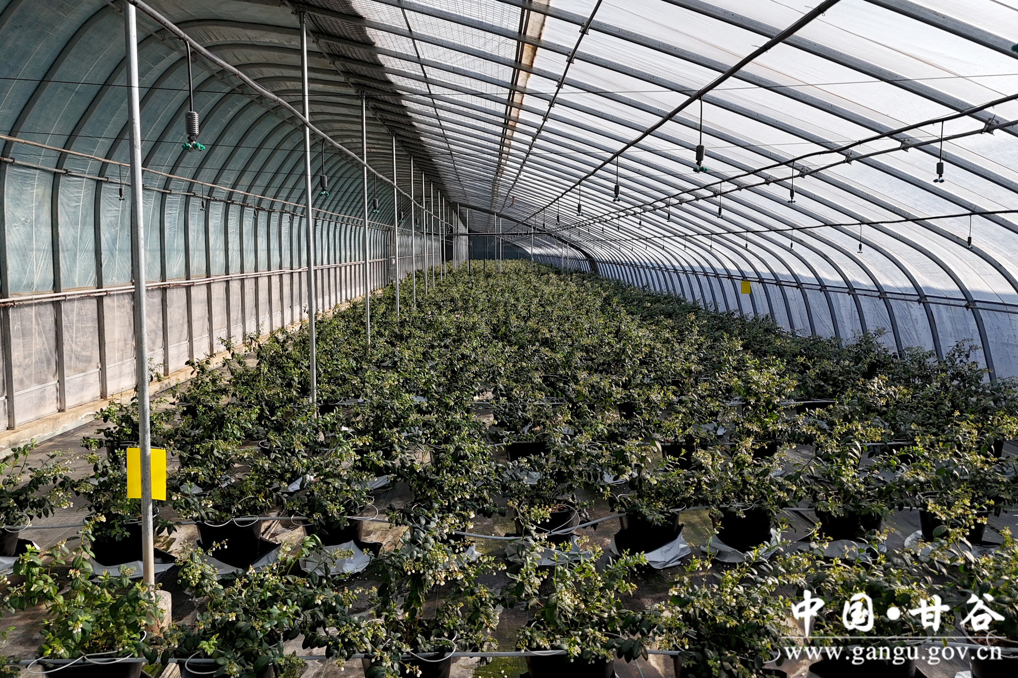 1737366042249047496.jpg 1737366042249047496.jpg