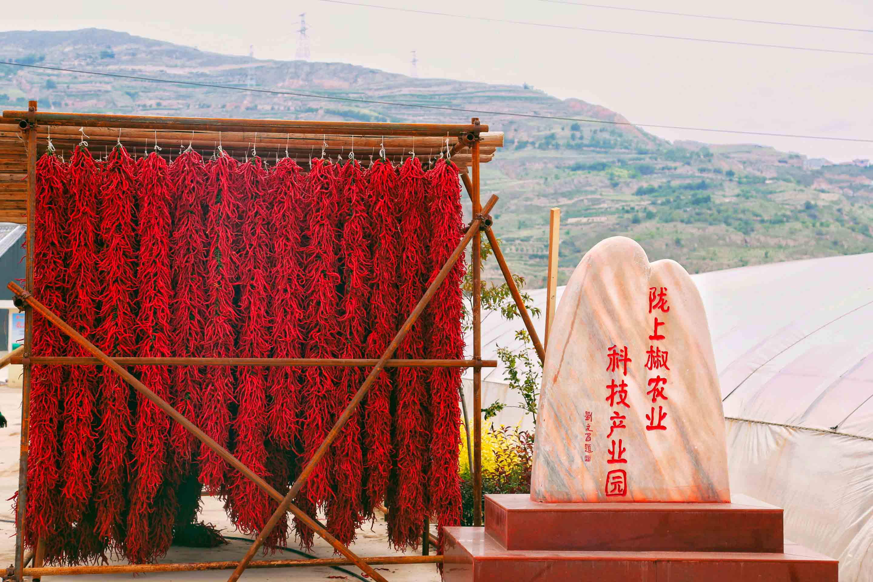 刘全义摄 (10) 刘全义摄 (10)