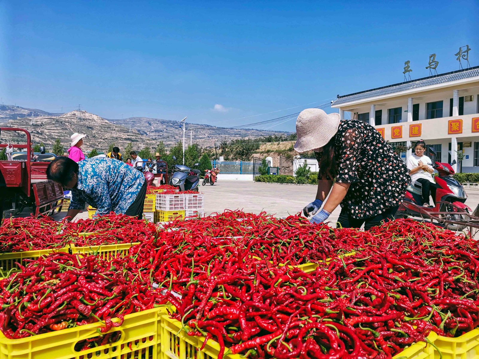 刘全义摄 (12) 刘全义摄 (12)