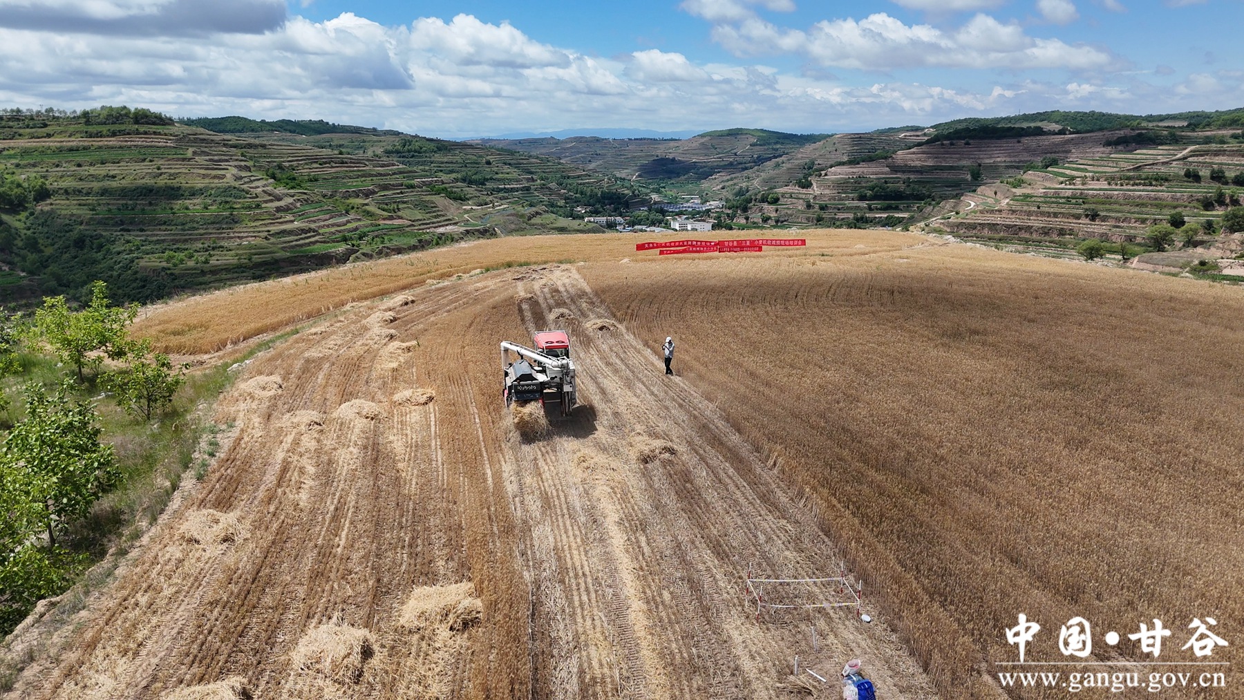 微信图片_20250703151522 微信图片_20250703151522