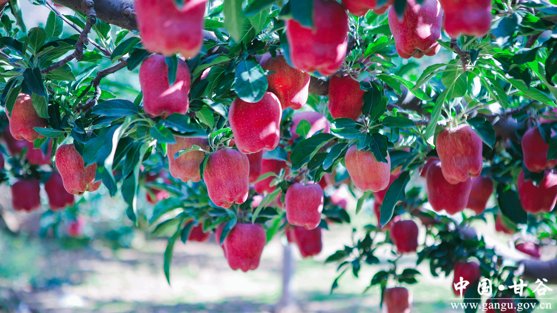 virtual_attach_file virtual_attach_file