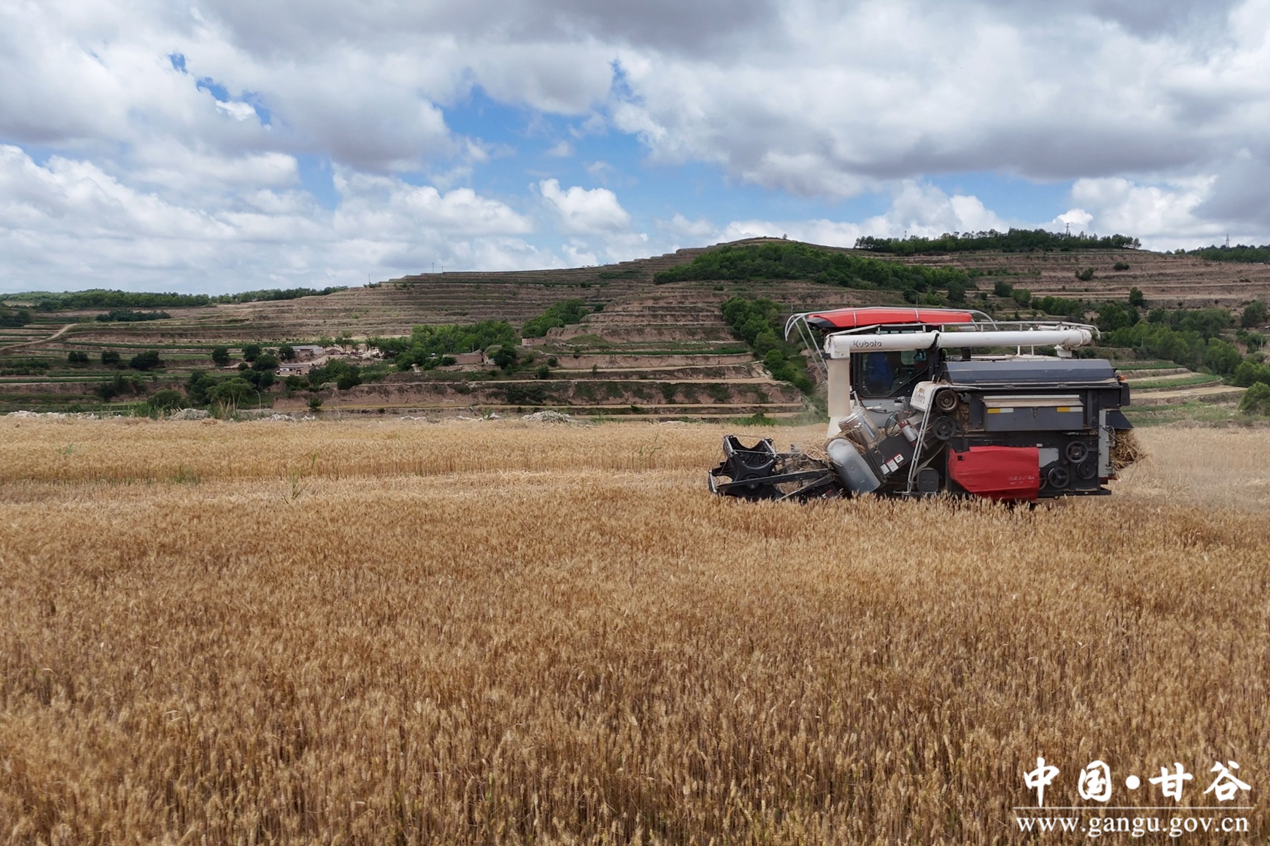 微信图片_20250703151511 微信图片_20250703151511