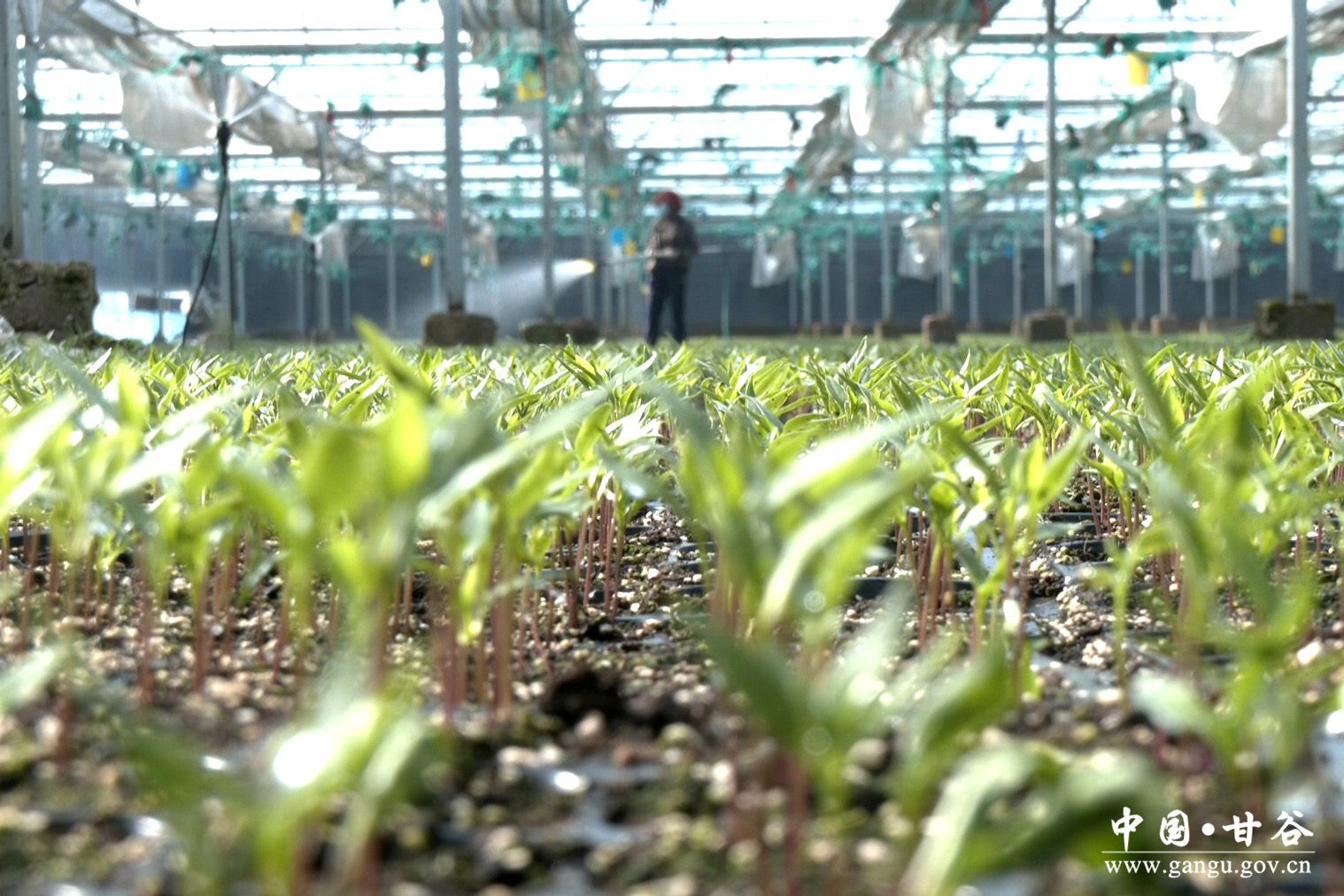 virtual_attach_file (16) virtual_attach_file (16)