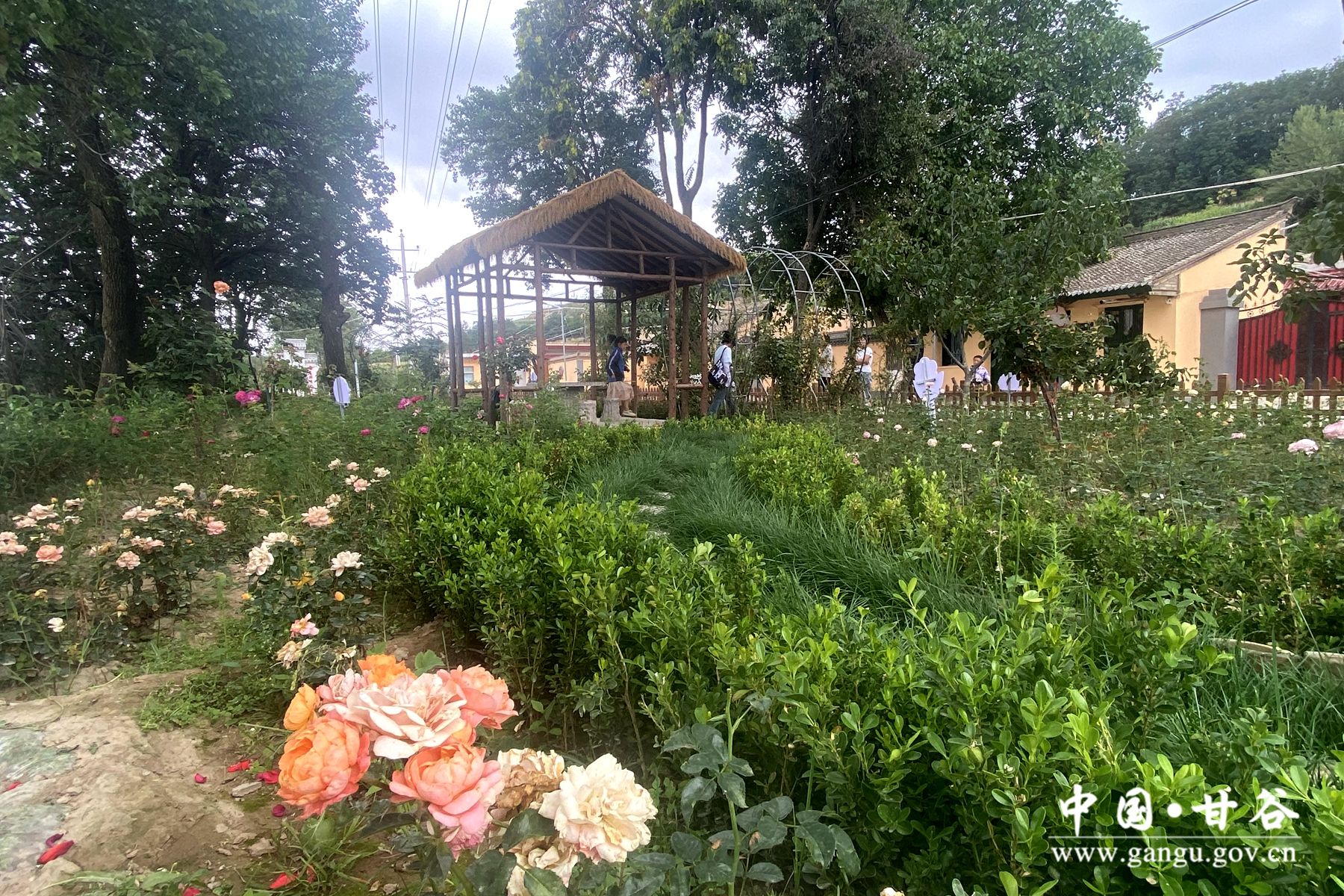 af031bfe296a52b874a4815005764c7 af031bfe296a52b874a4815005764c7