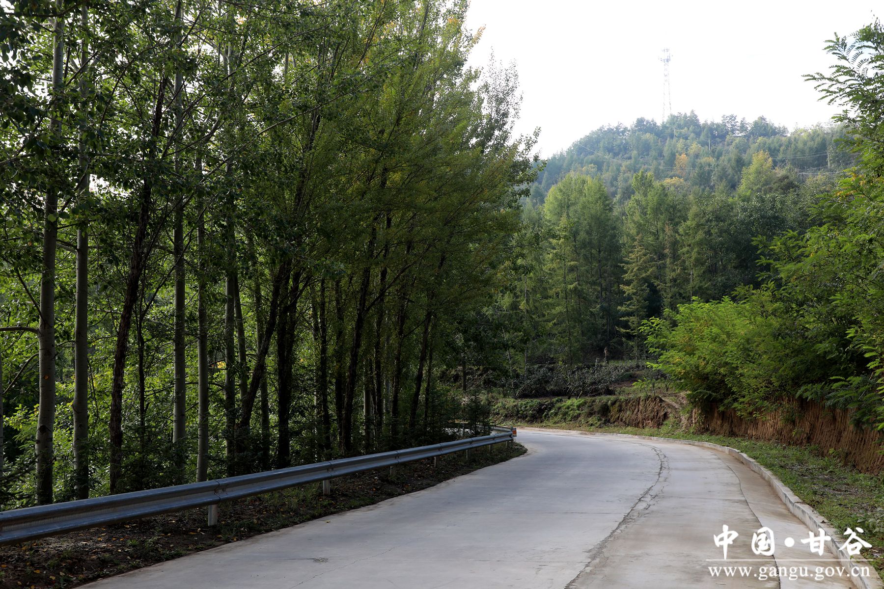 926A8314_副本 926A8314_副本