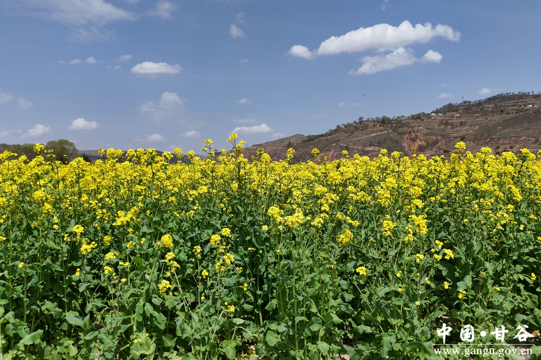 微信图片_20240429191832 微信图片_20240429191832