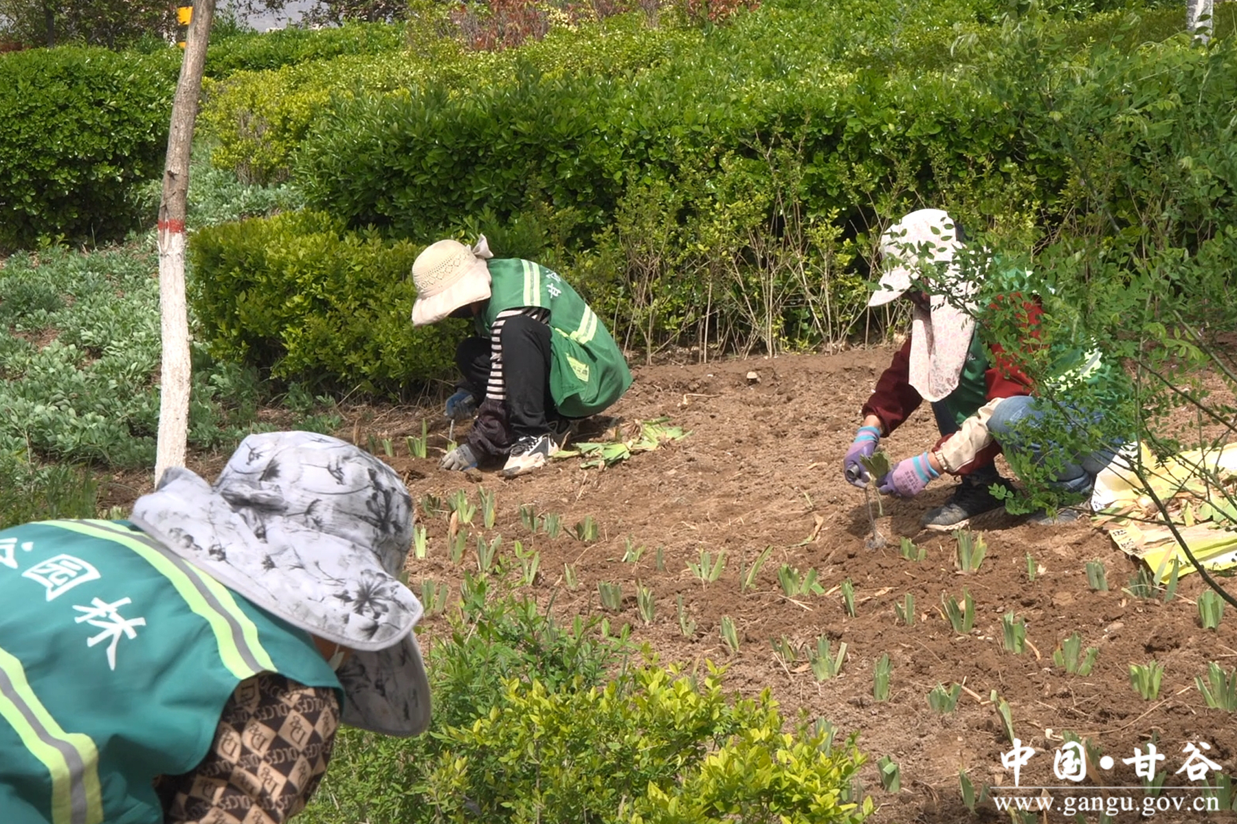 微信图片_20260417092310_4_209 微信图片_20260417092310_4_209