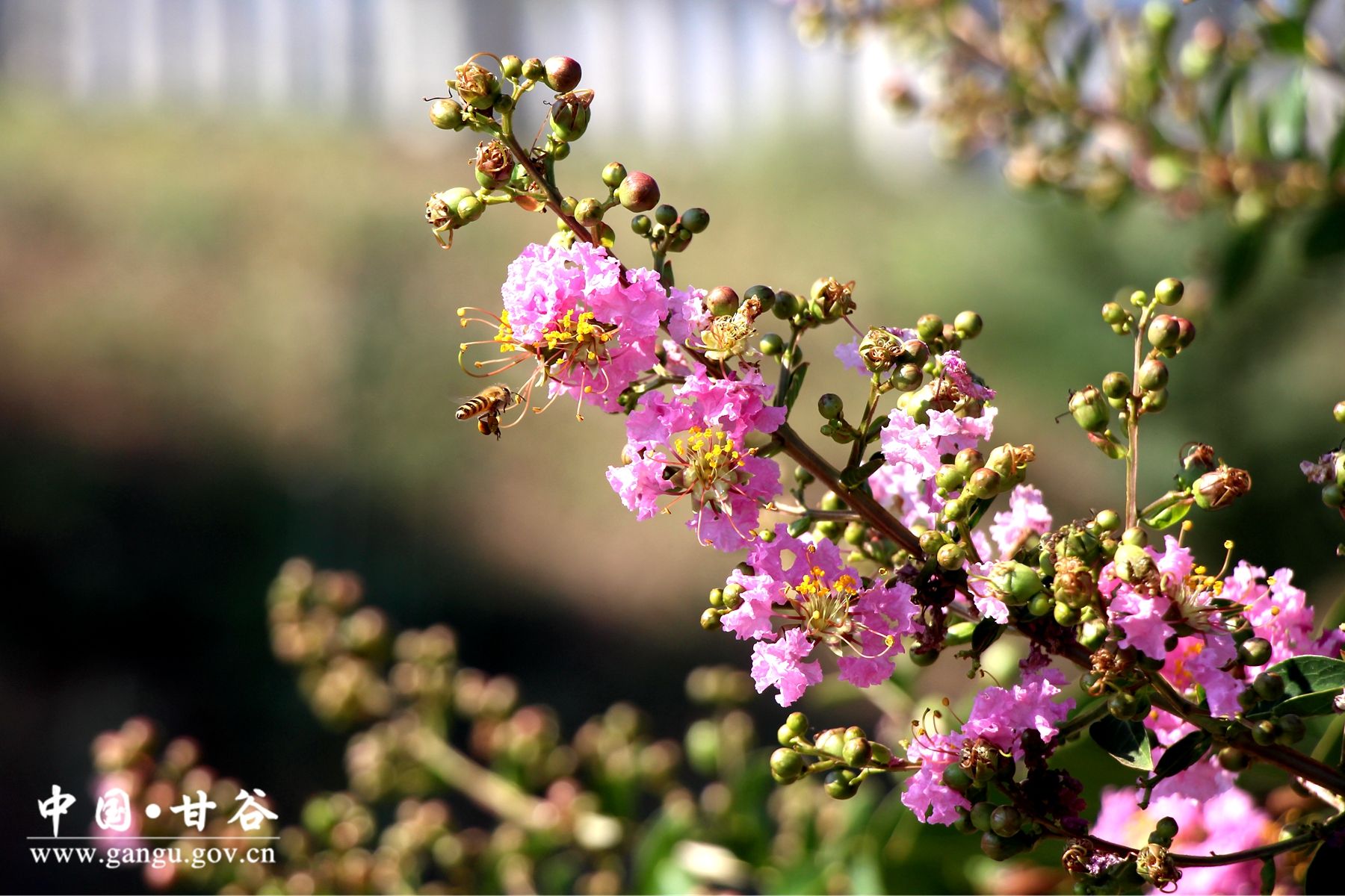 96af9c1296ed88cf9e8b1160b077342 96af9c1296ed88cf9e8b1160b077342