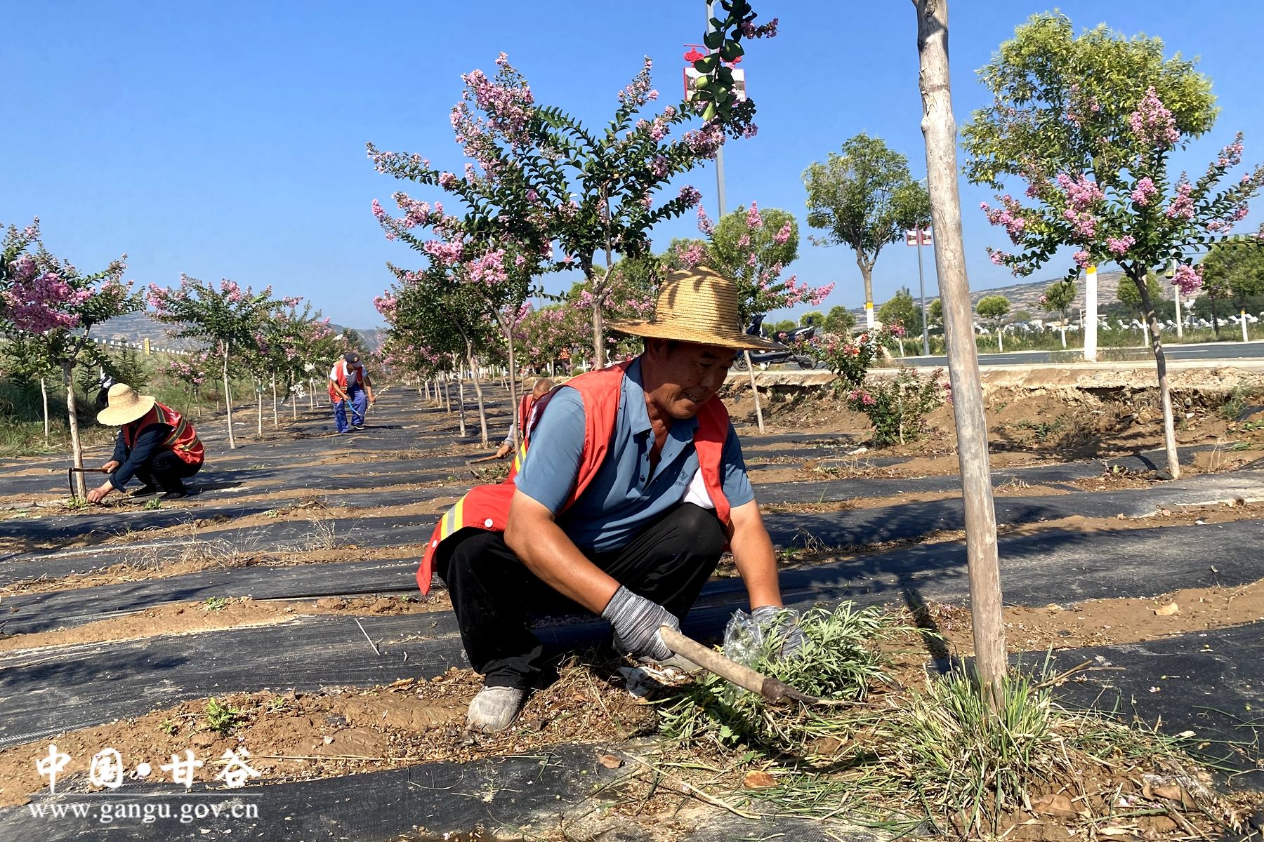 3a4e4e15921fb0fddd87c7b42a42c4b 3a4e4e15921fb0fddd87c7b42a42c4b