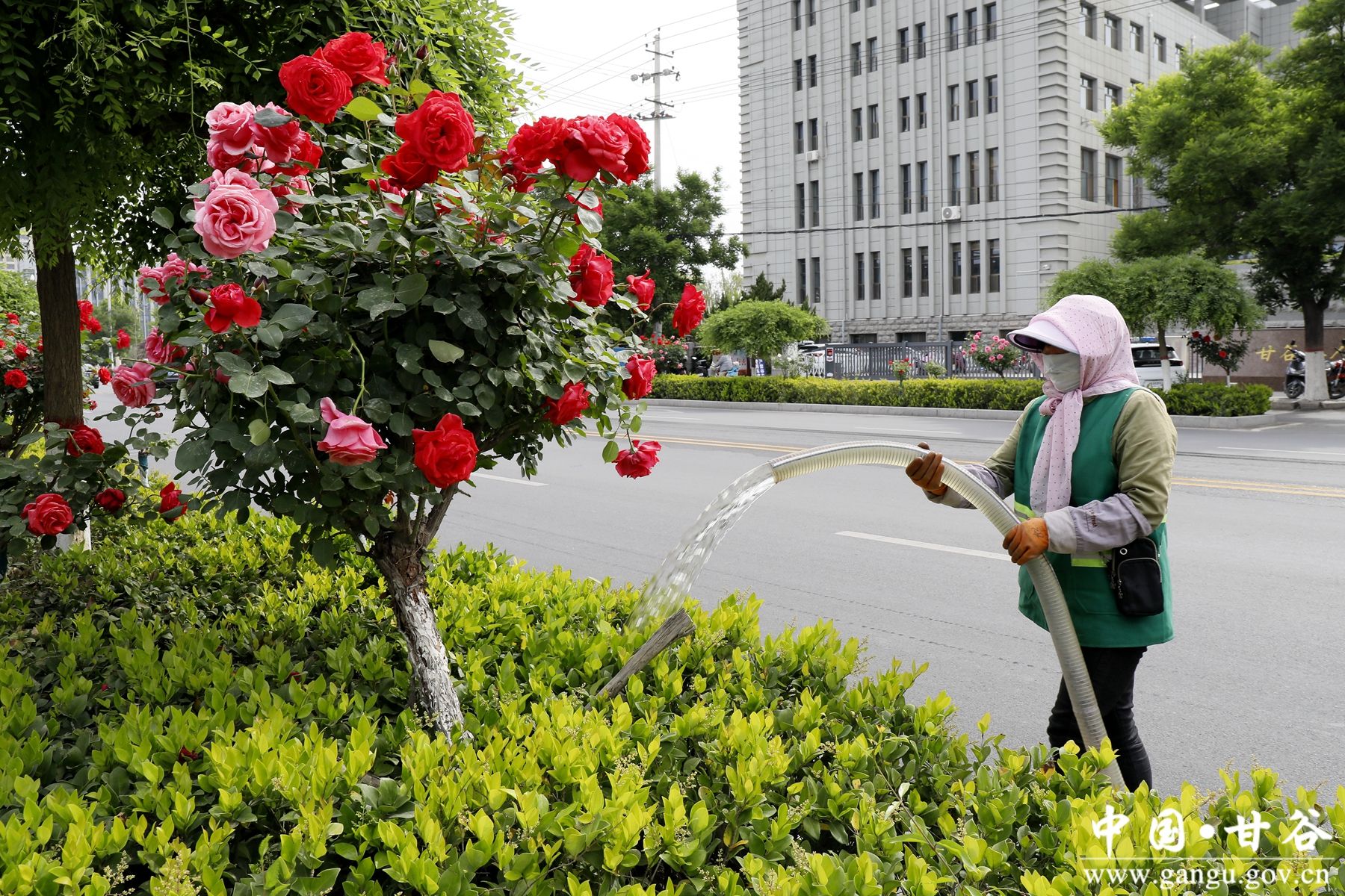 _MG_4125_副本_副本 _MG_4125_副本_副本