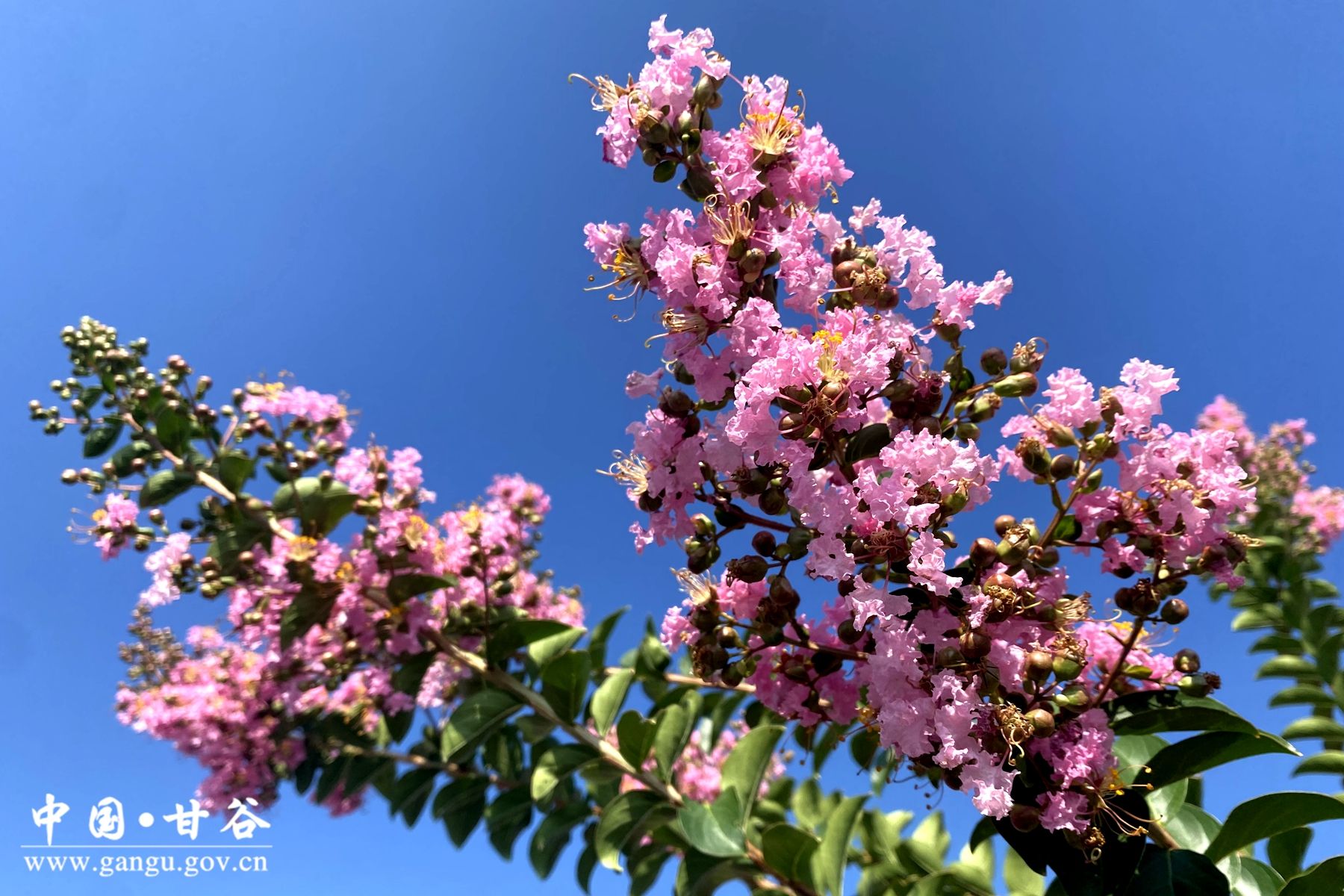 f4fb0980aa3f51076f3edf542482fd9 f4fb0980aa3f51076f3edf542482fd9