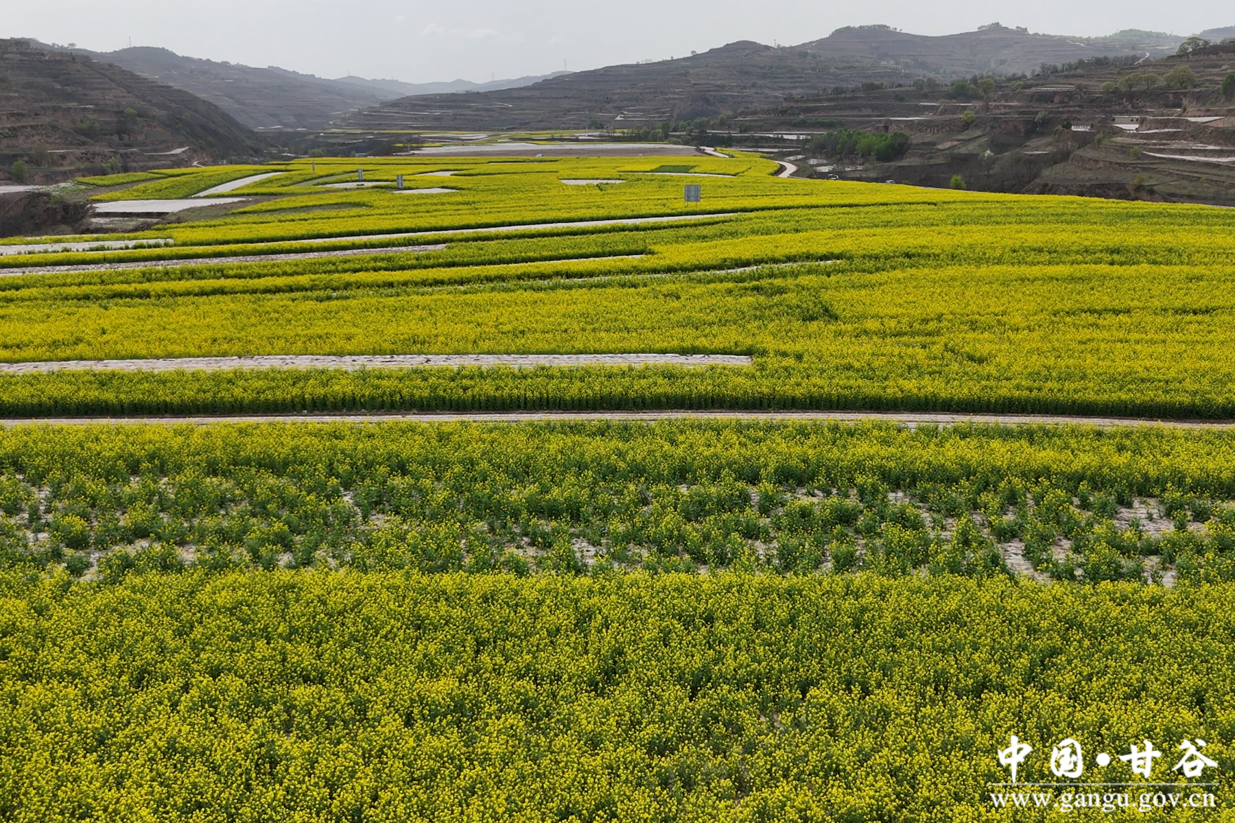 微信图片_20240429191753 微信图片_20240429191753