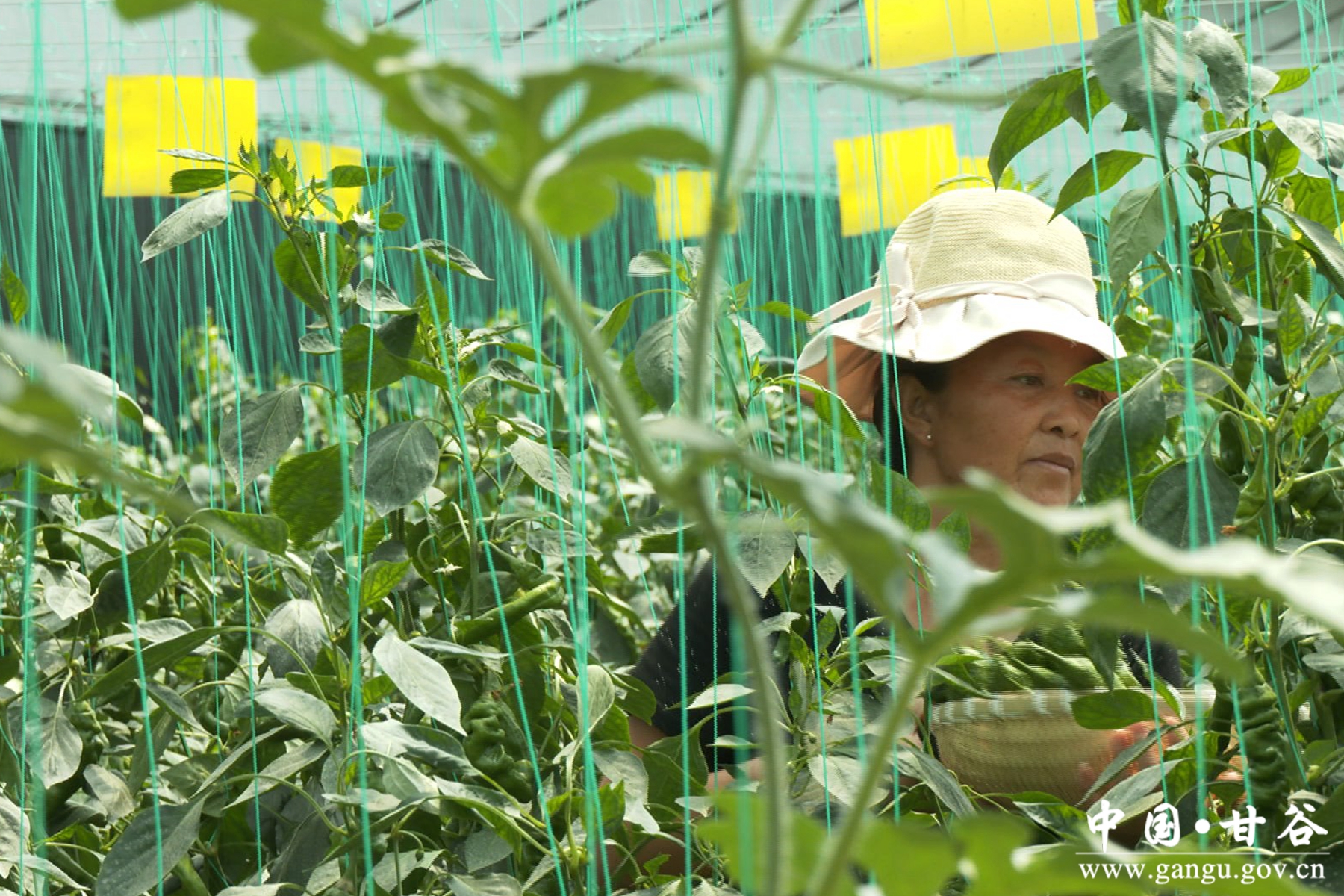 微信图片_20240617090344 微信图片_20240617090344