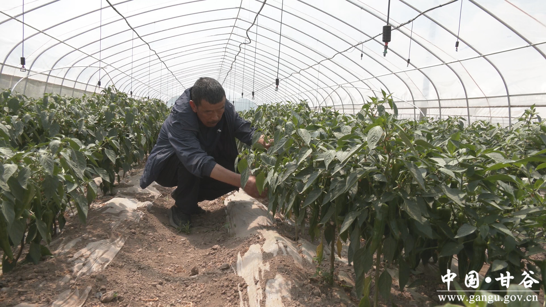 微信图片_20250710220731_副本 微信图片_20250710220731_副本