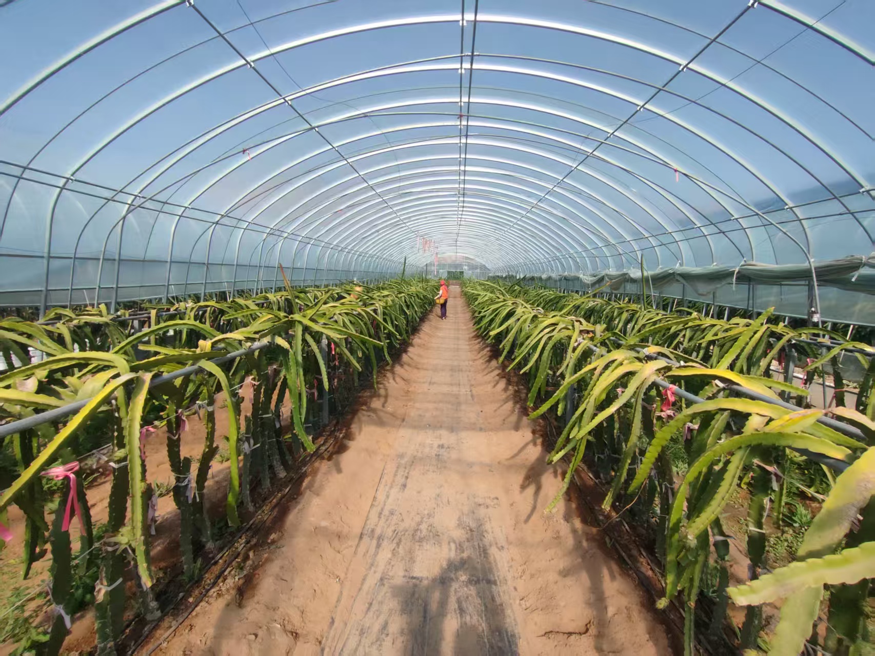 1752116804764092388.jpg 1752116804764092388.jpg