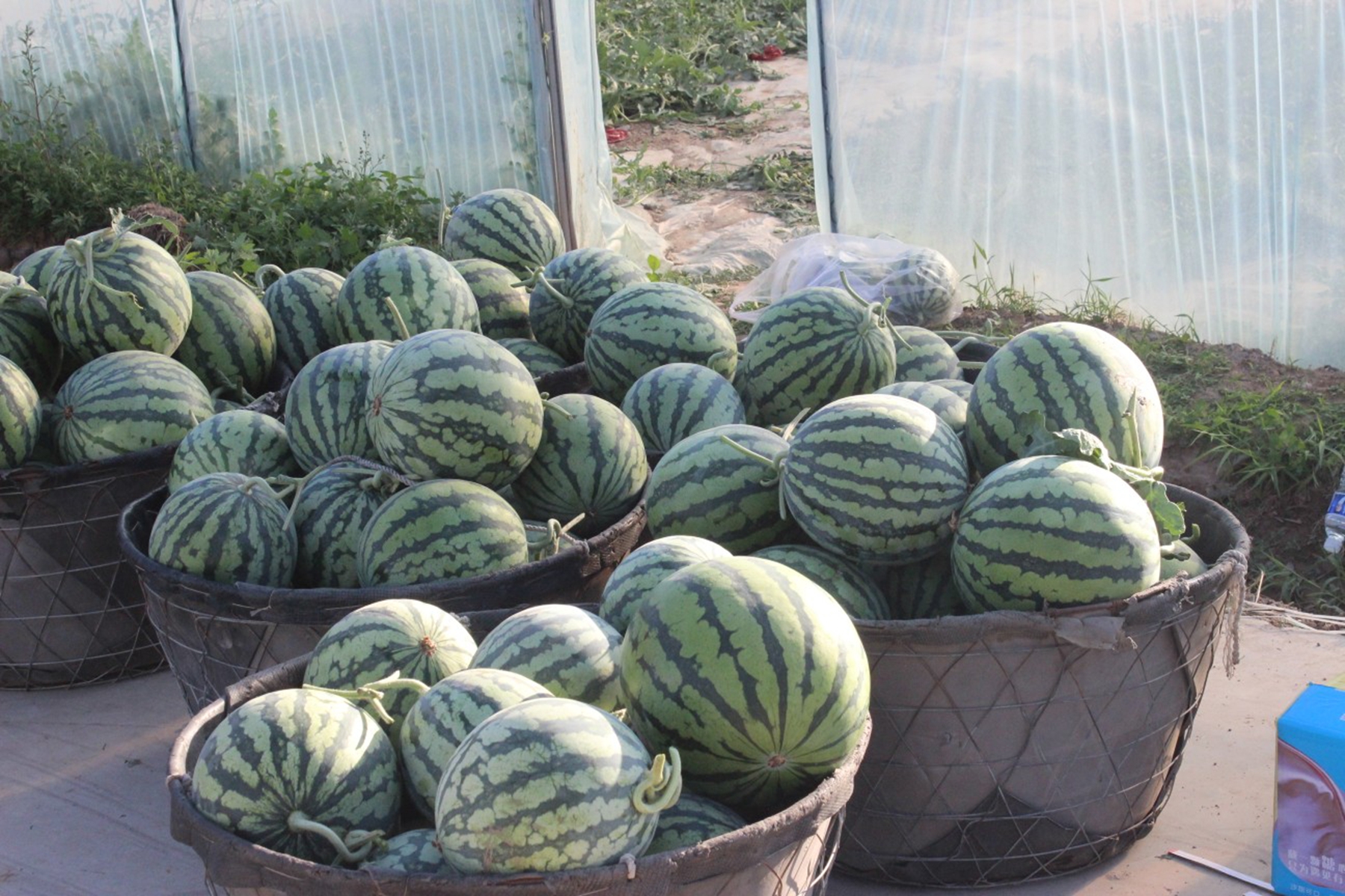 0e5793a85ab54552b6208b5d1b2d50e3 0e5793a85ab54552b6208b5d1b2d50e3