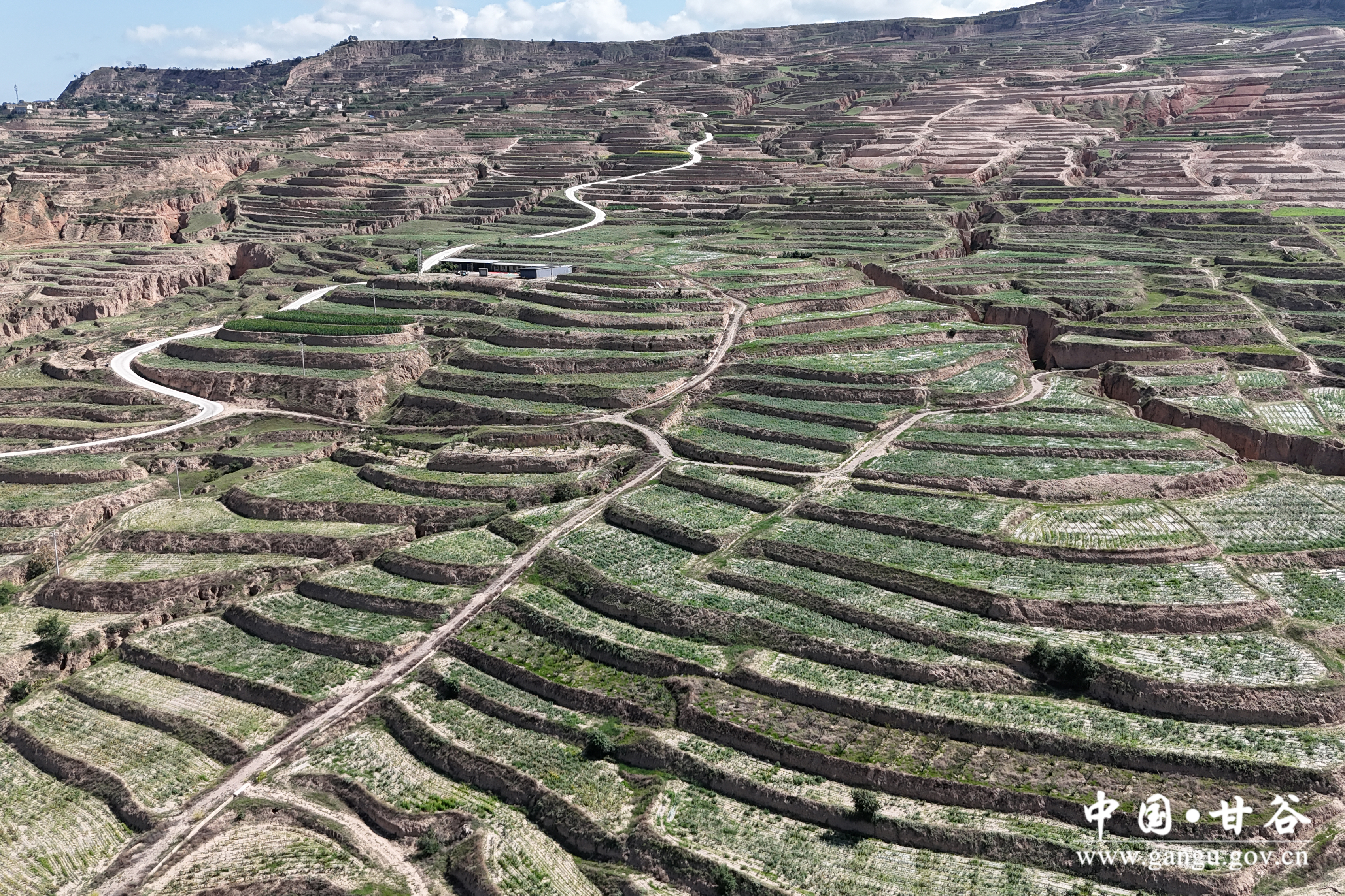 1752120170398008174.jpg 1752120170398008174.jpg