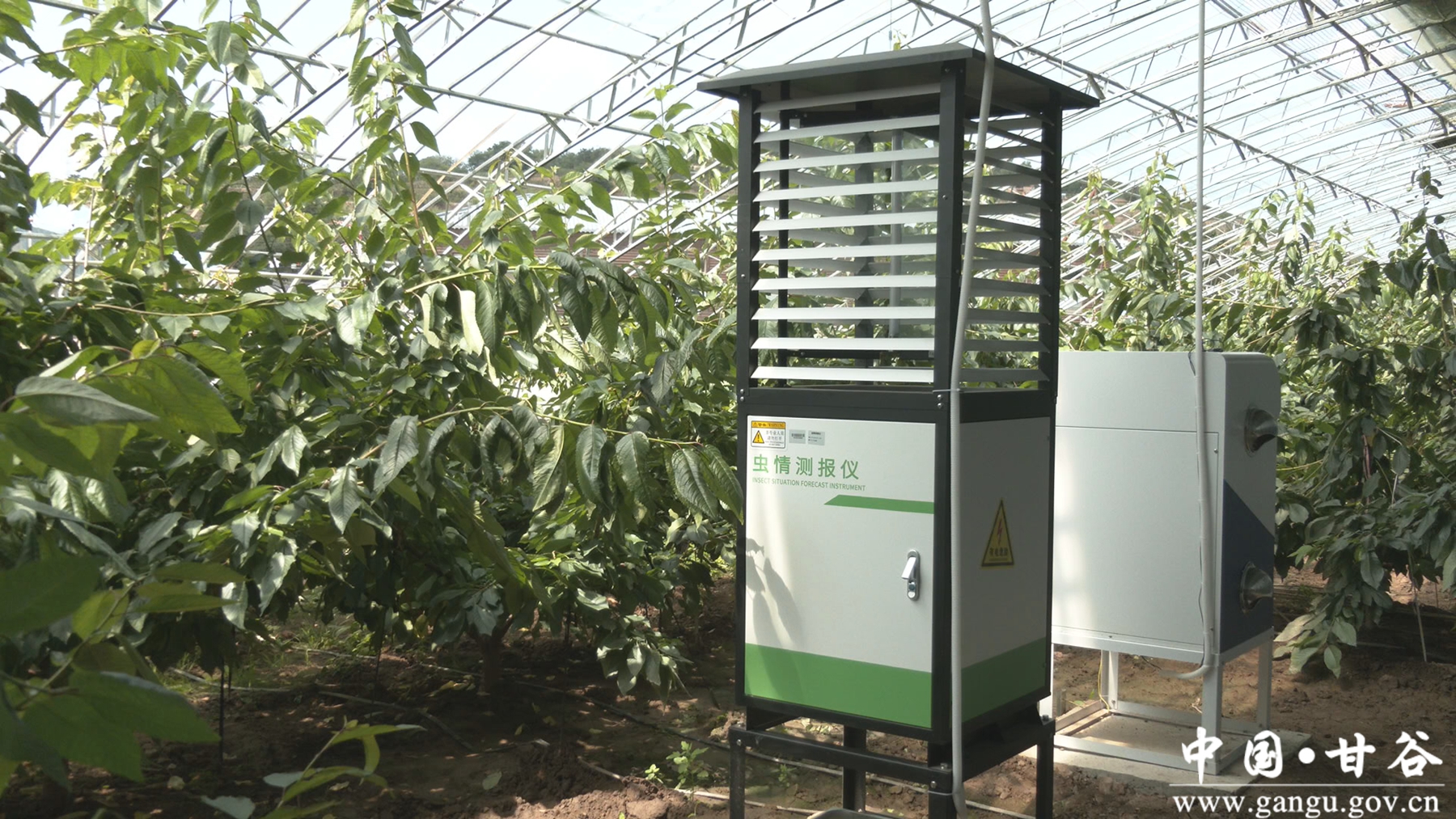 微信图片_20250710220728_副本_副本_副本 微信图片_20250710220728_副本_副本_副本