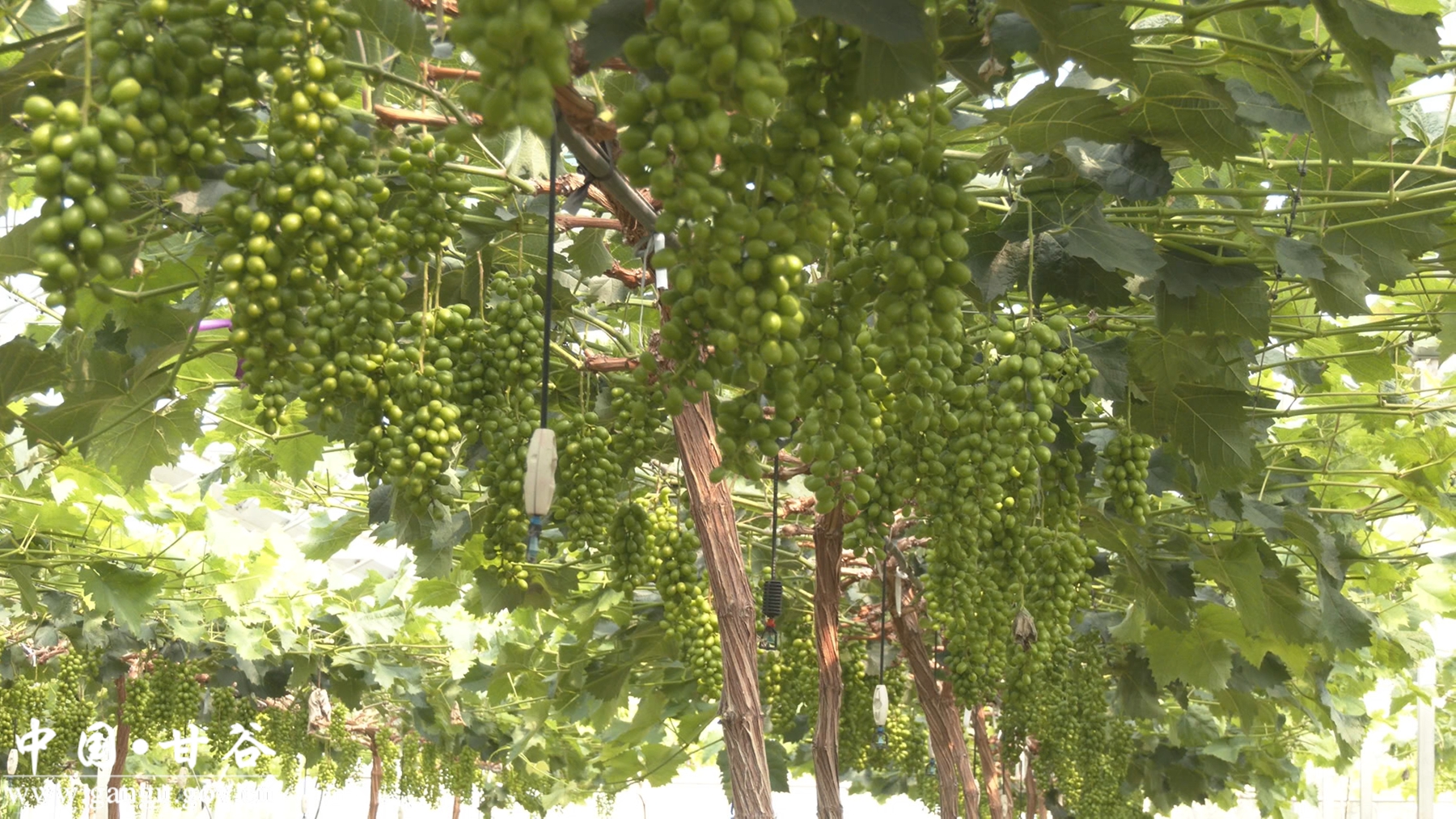 微信图片_20250710220741_副本_副本 微信图片_20250710220741_副本_副本