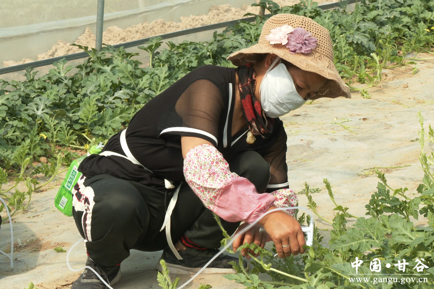 微信图片_20240617090340 微信图片_20240617090340