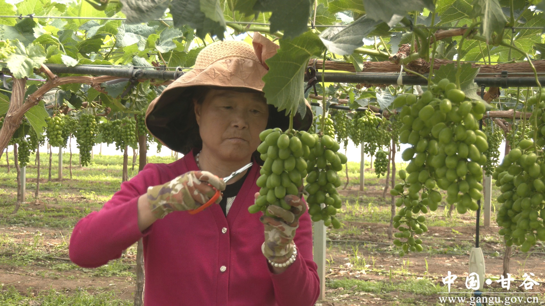 微信图片_20250710220736_副本_副本_副本 微信图片_20250710220736_副本_副本_副本