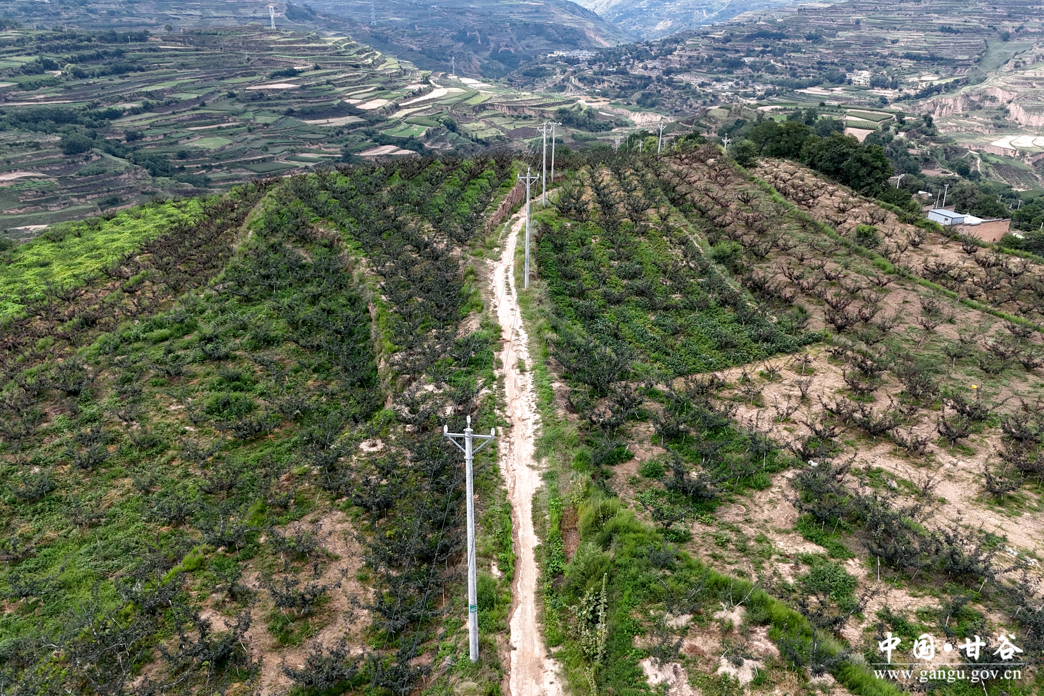 1723001428889010232.jpg 1723001428889010232.jpg