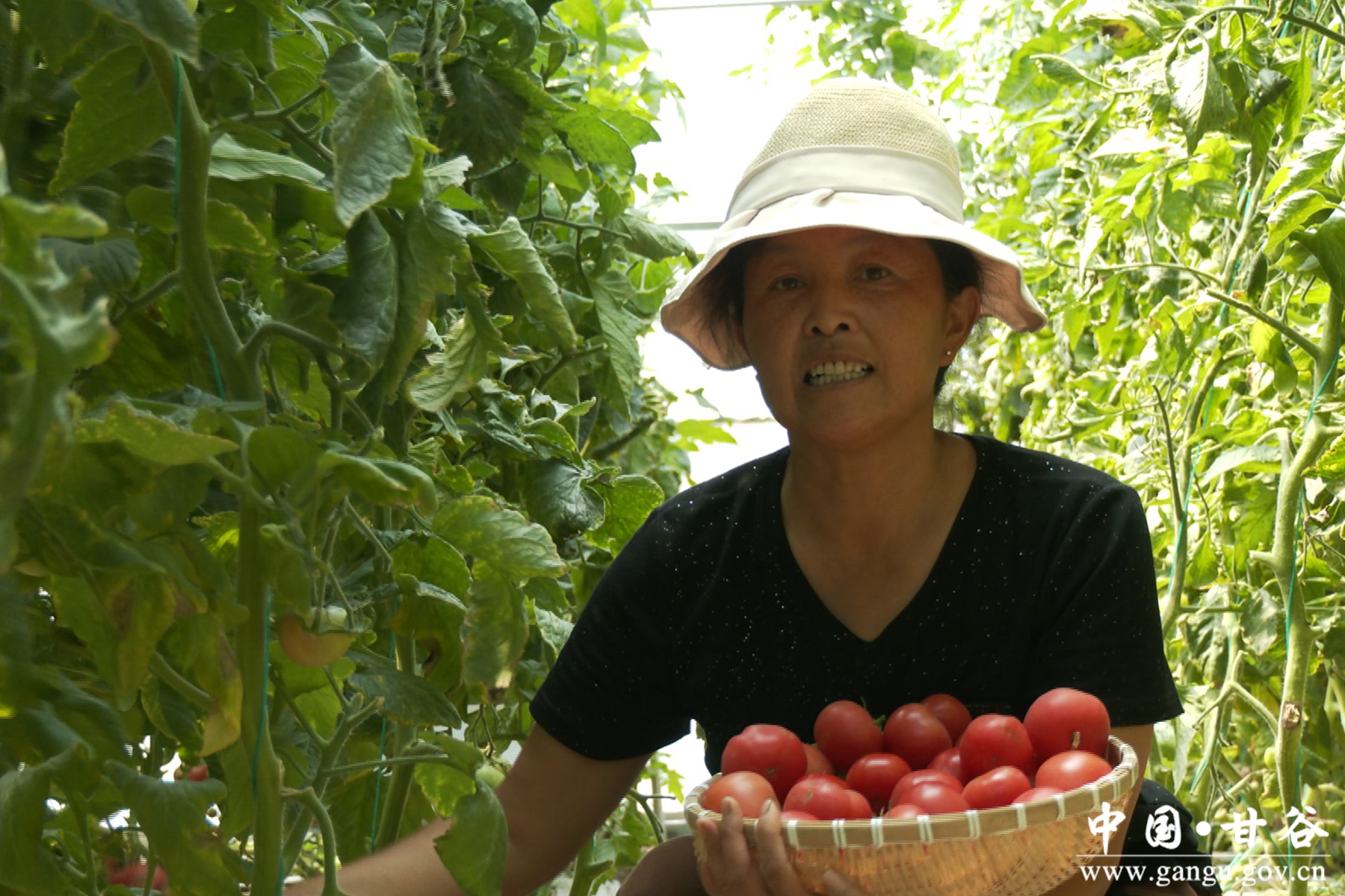 微信图片_20240617090337 微信图片_20240617090337