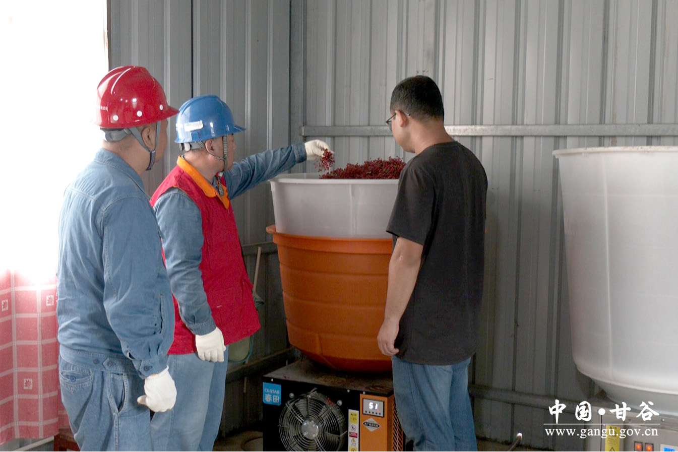 1723001469889007085.jpg 1723001469889007085.jpg