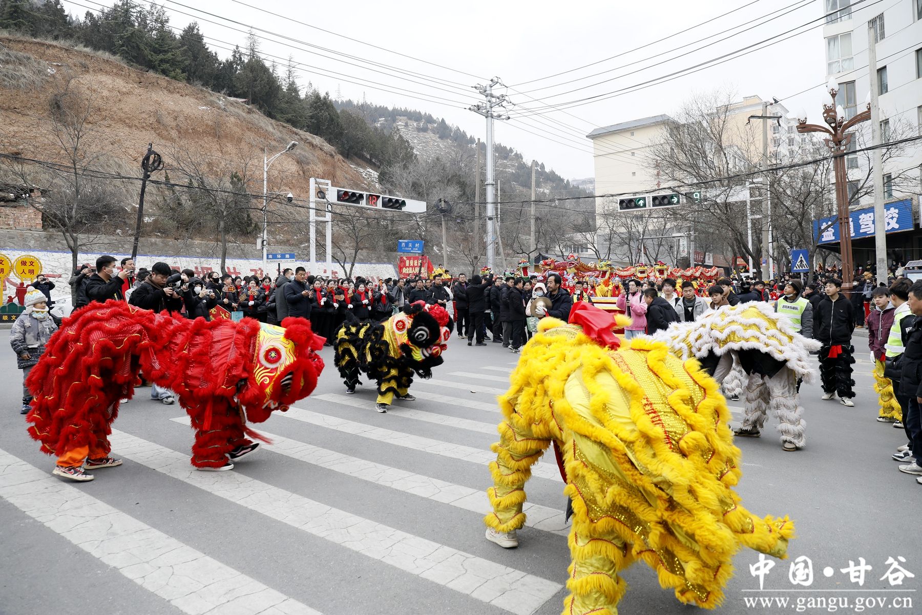 _MG_7656_副本 _MG_7656_副本