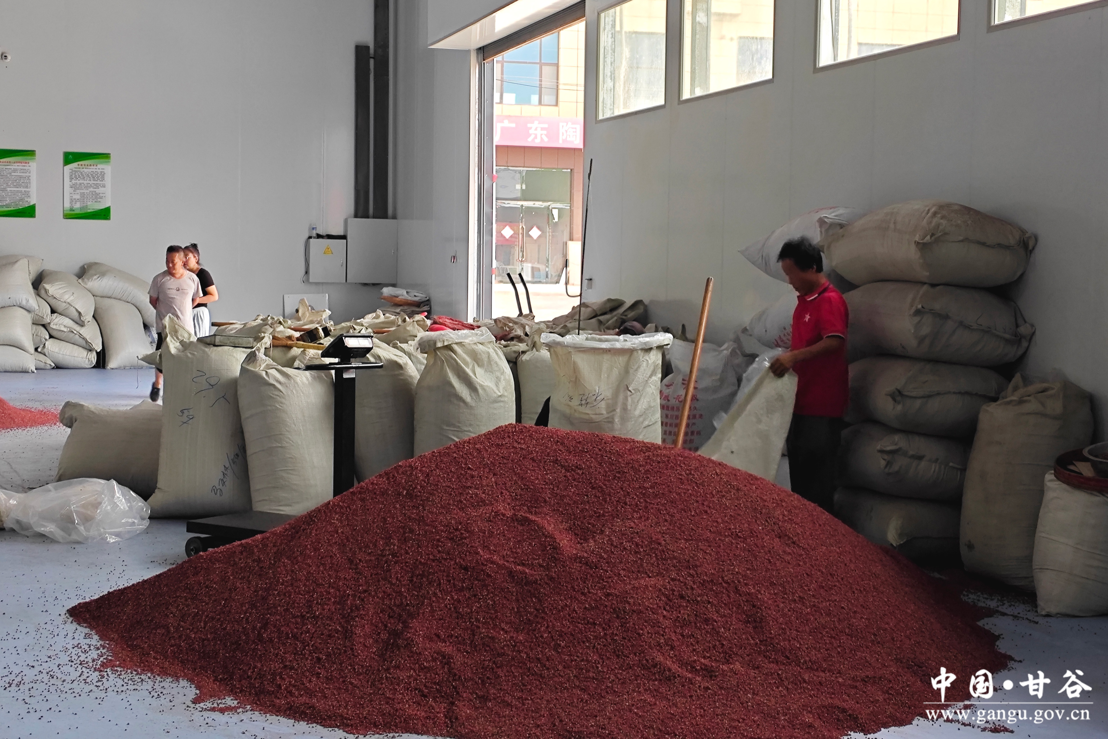 1723198276448052536.jpg 1723198276448052536.jpg