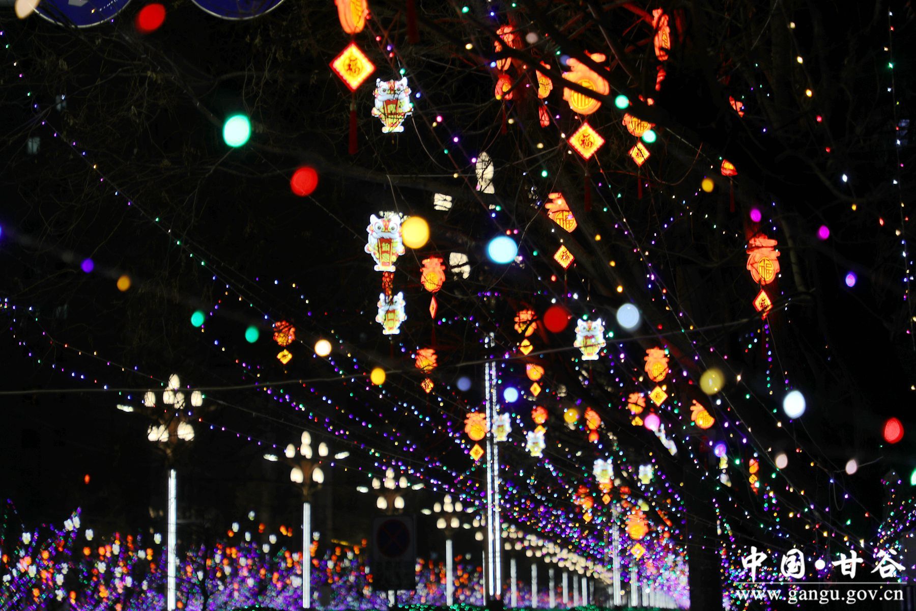 926A1542_副本 926A1542_副本